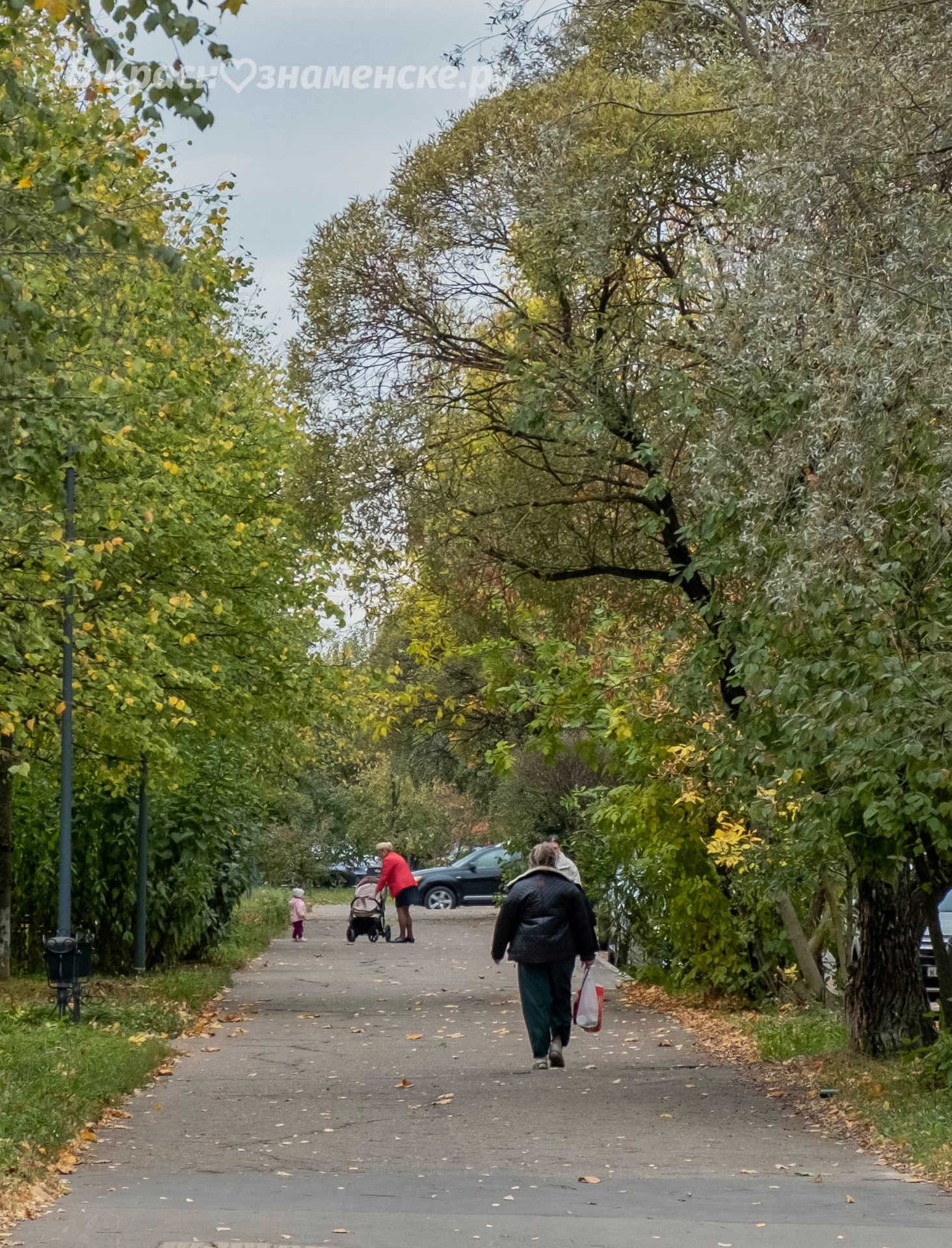 Осень на улицах Краснознаменска
