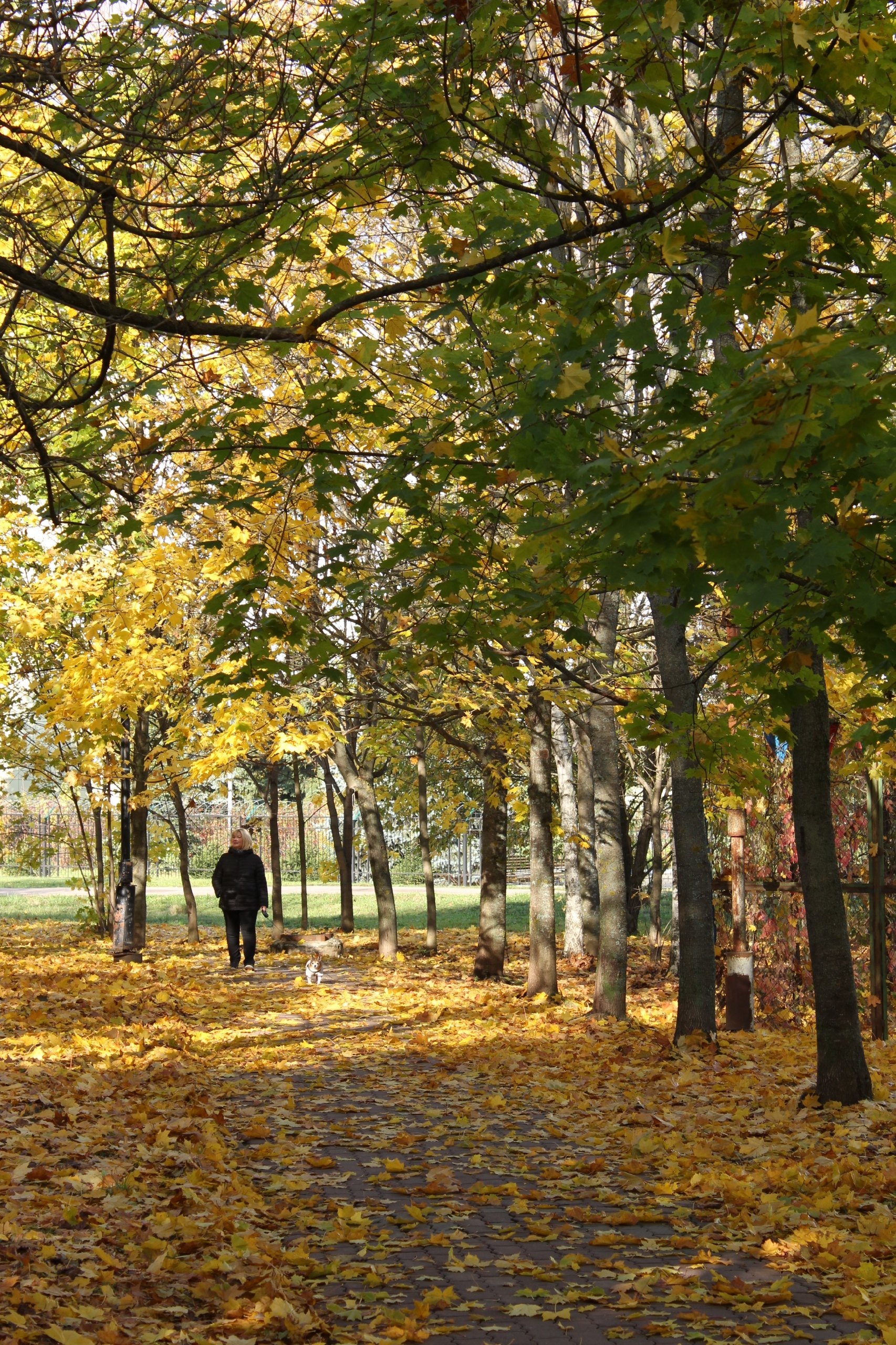 Прогулка по городу ???????? — Краснознаменск