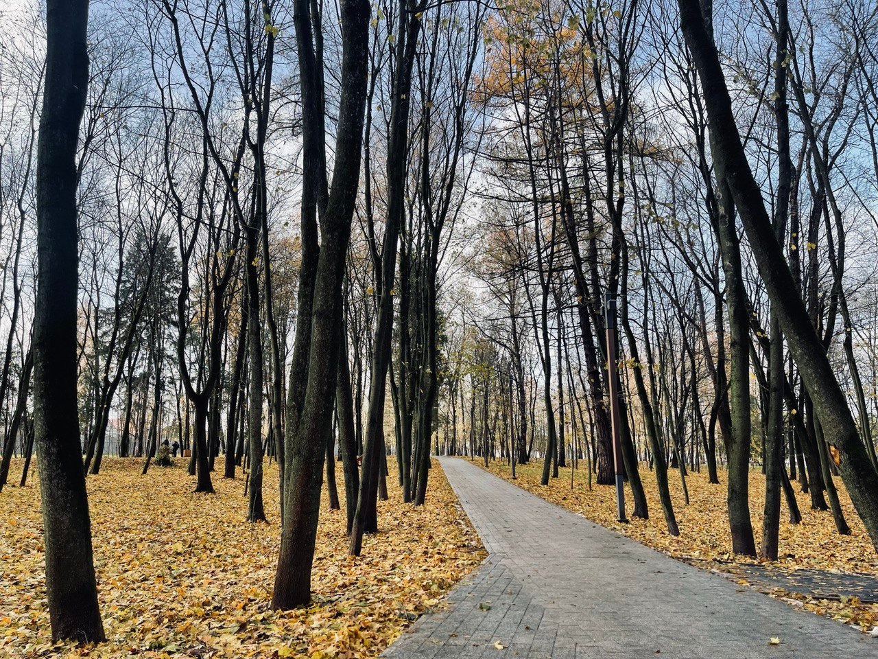 Прогулка по городу — Краснознаменск