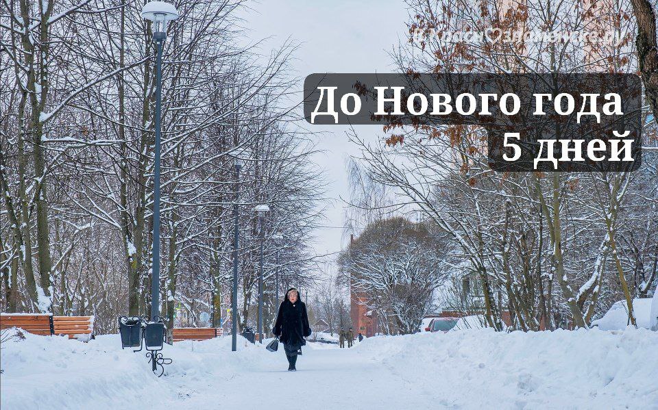 Доброе утро, Краснознаменск!
