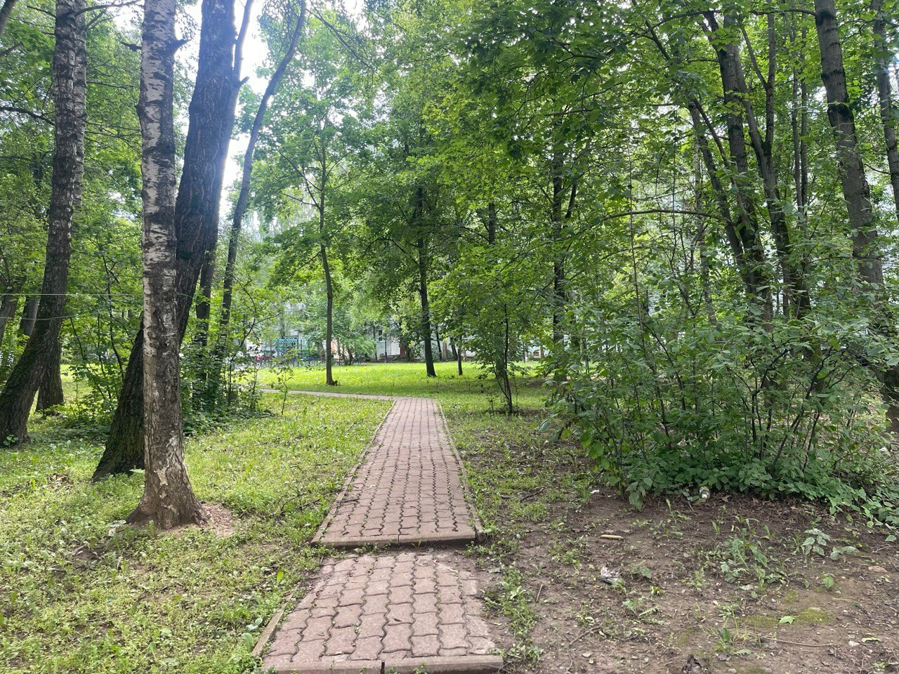 Солнечная прогулка по городу. — Краснознаменск