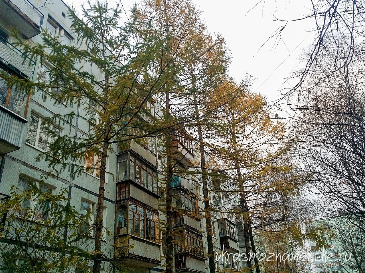 Отгадайте место по фотографии