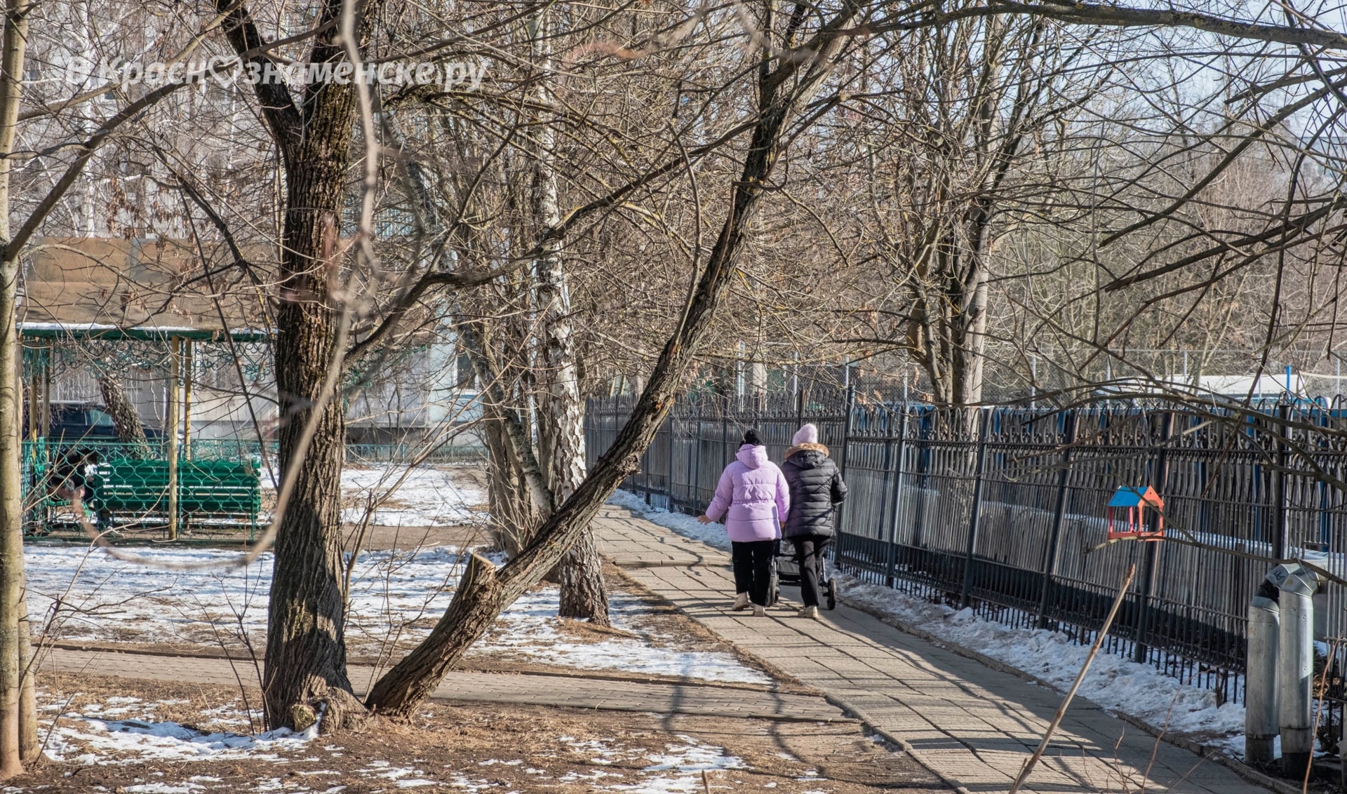 Фото 47565 — Краснознаменск