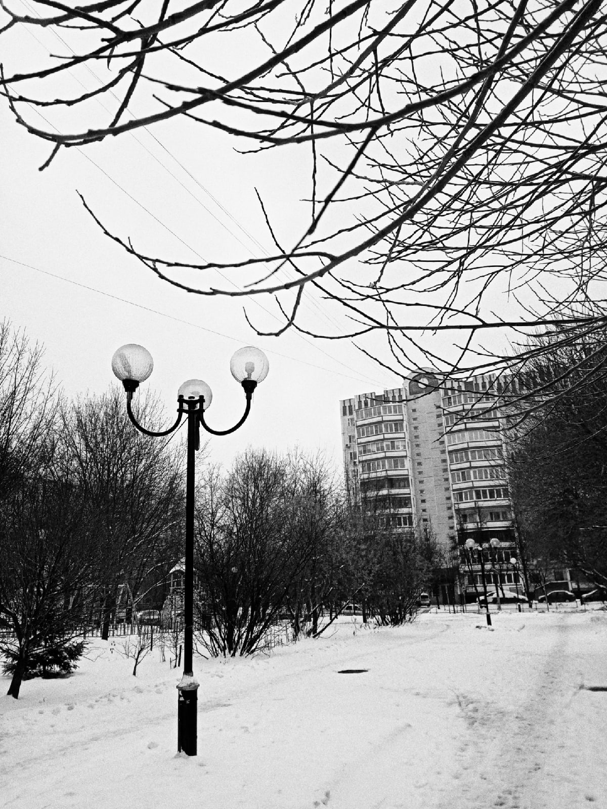 Фото 36061 — Краснознаменск