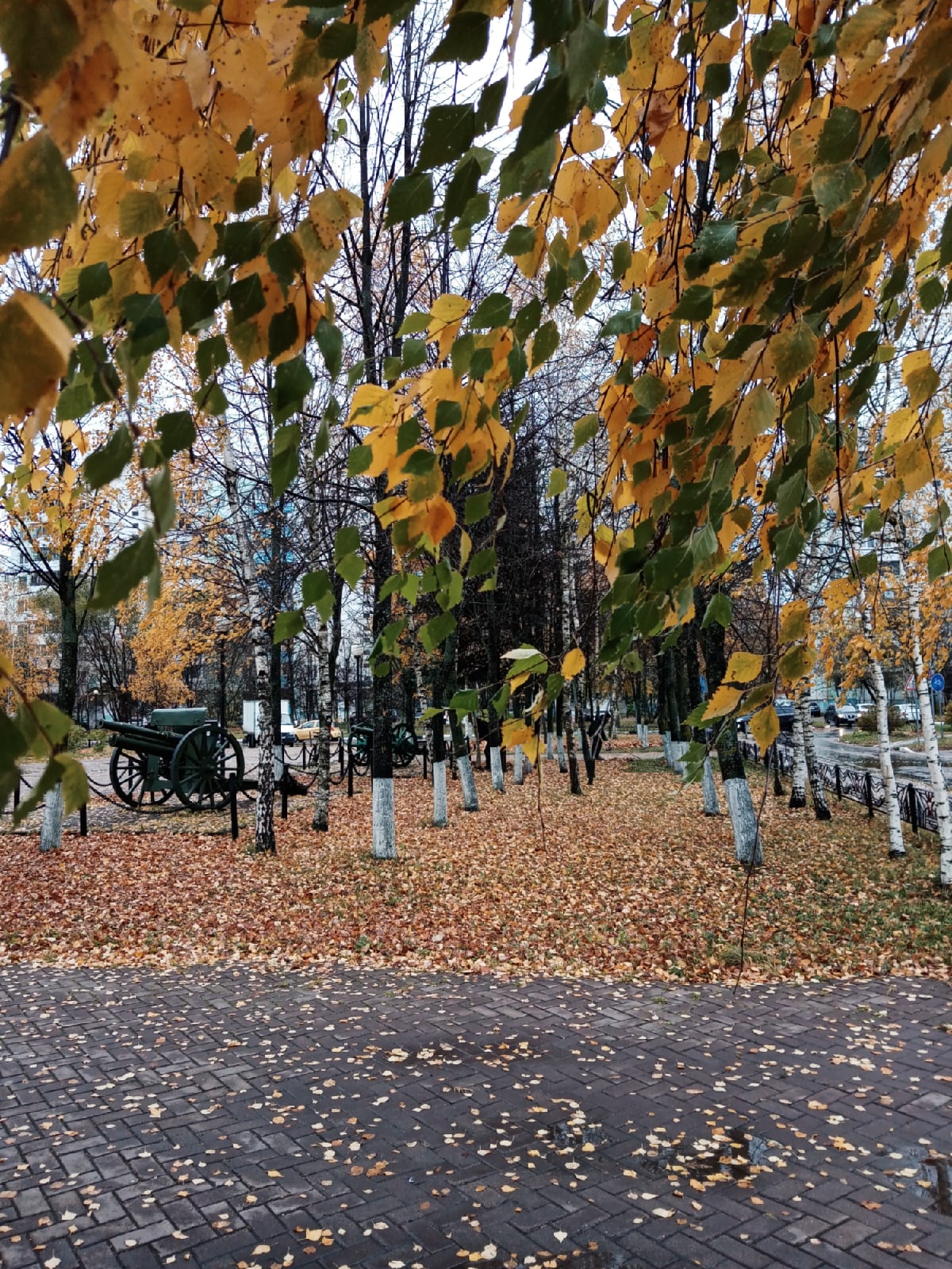 ???? Наталья Меняйлова — Краснознаменск