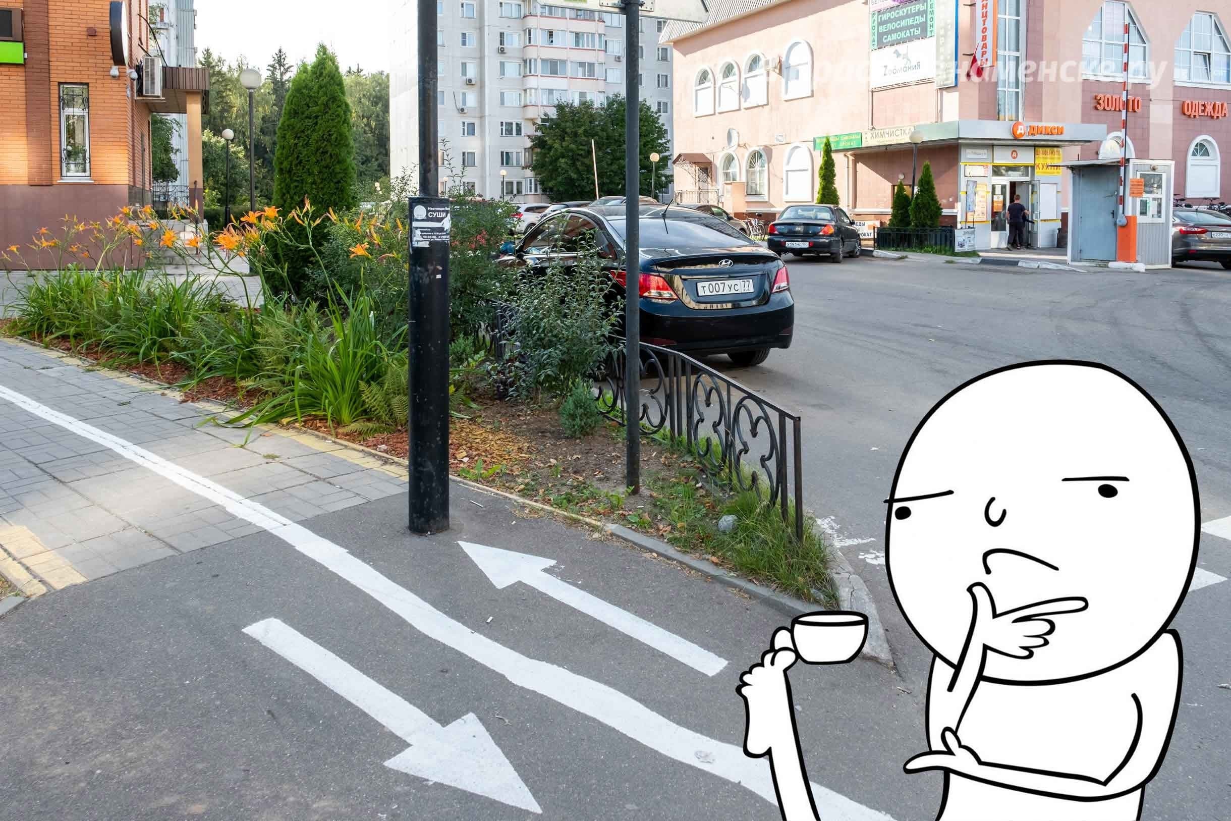 Прогулка по городу — Краснознаменск