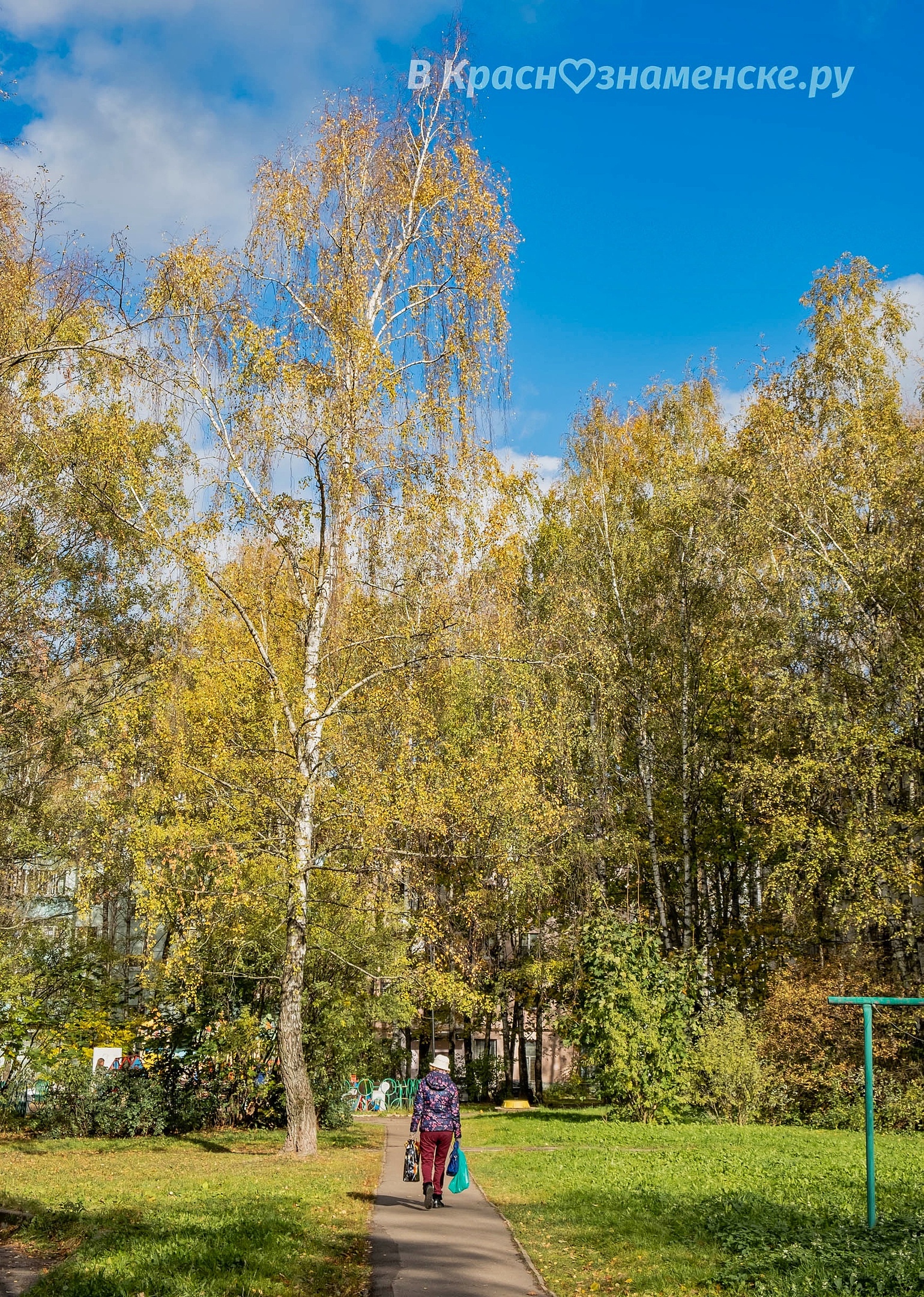 Фото 40637 — Краснознаменск