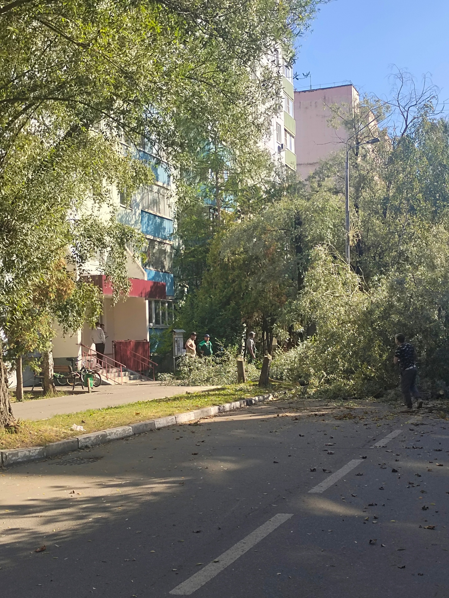 На улице Краснознамённая, д. 18, начались работы по спилу де