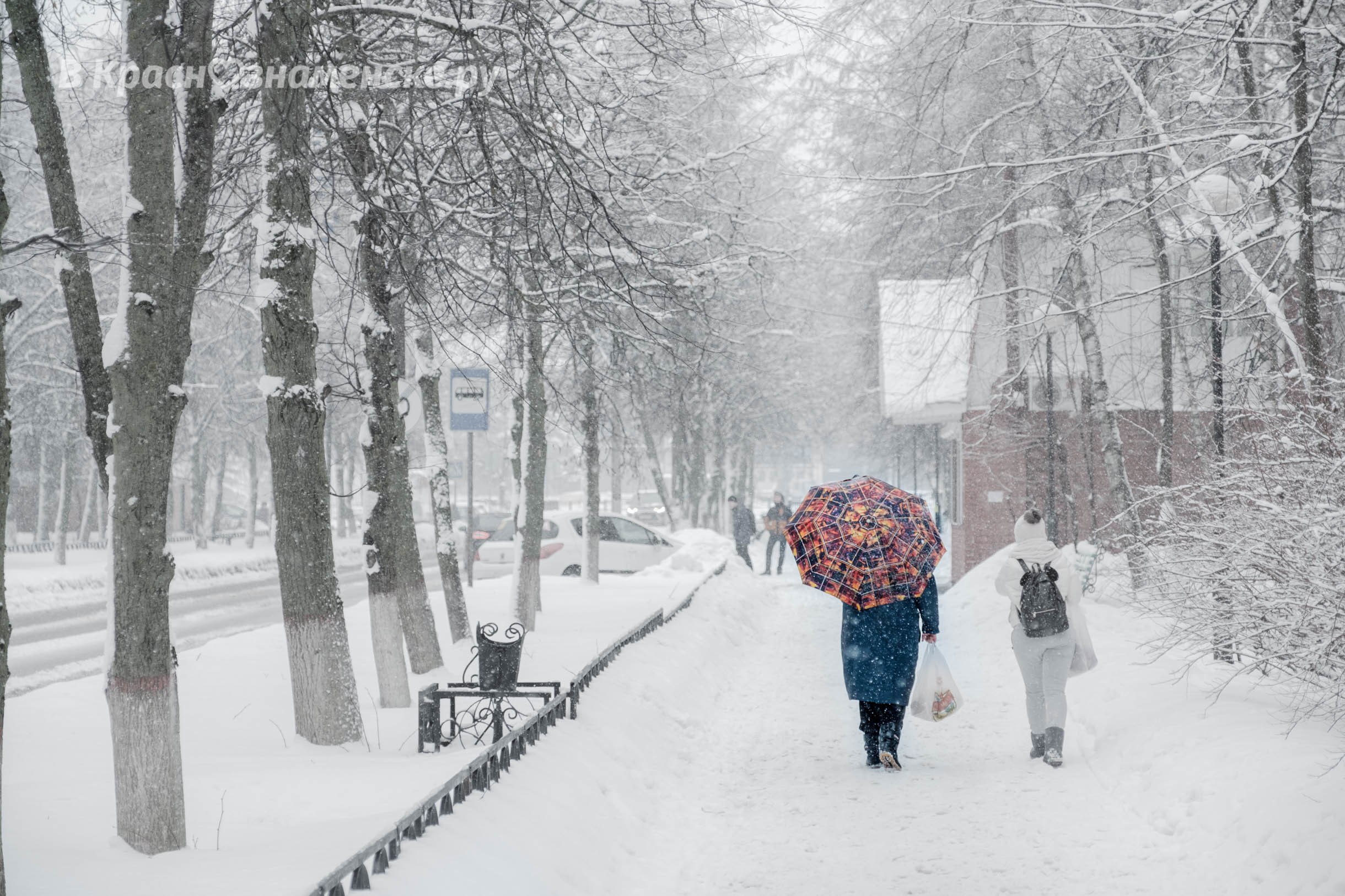 Доброе утро Краснознаменск ????