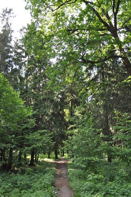 Быстрое меню — Краснознаменск