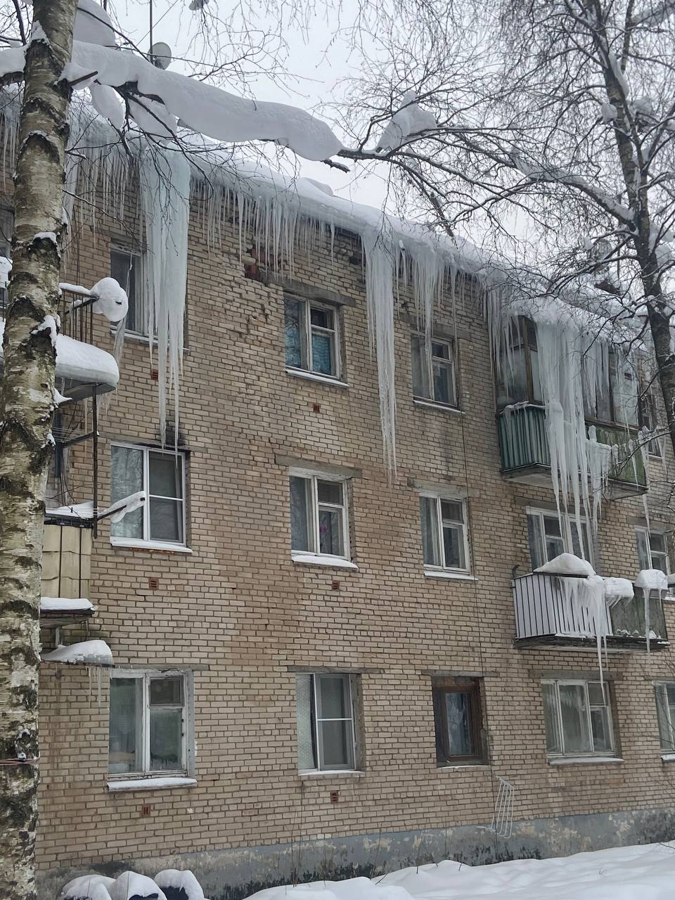 Фото Антон Орлов — Краснознаменск
