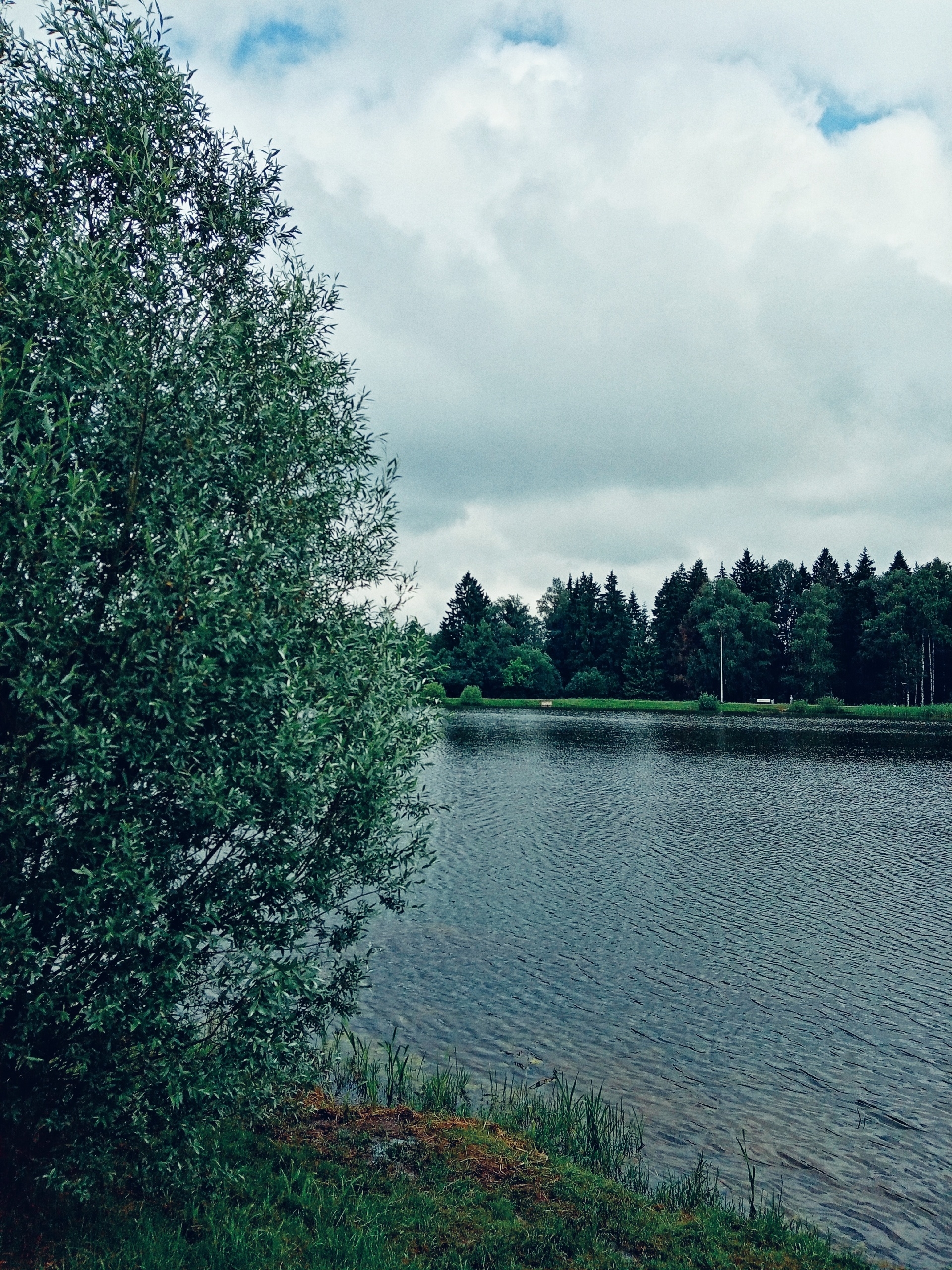 Утро в парке. — Краснознаменск