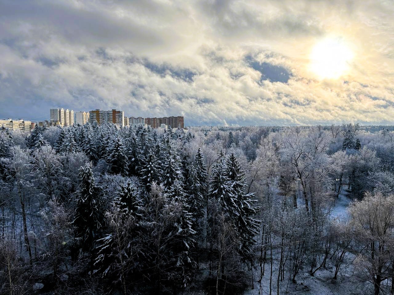 Красота сегодня! ❄️  ????Беличий парк  ⓒ Парки Краснознаменска