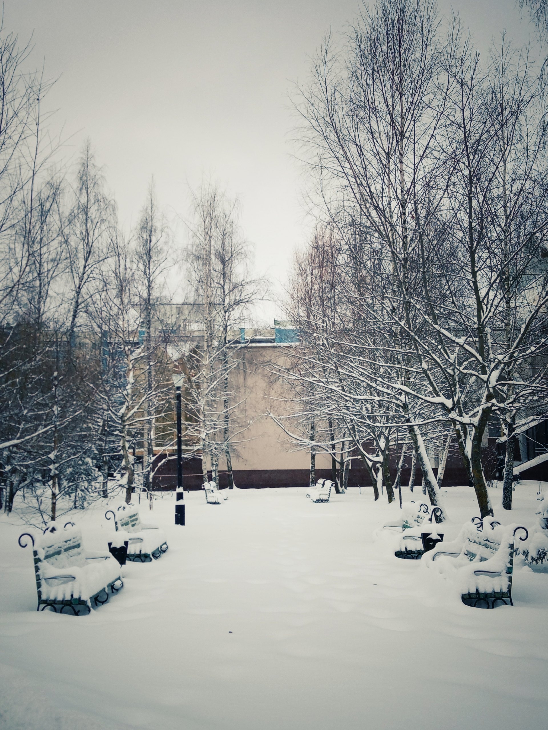 Прогулка по городу. — Краснознаменск