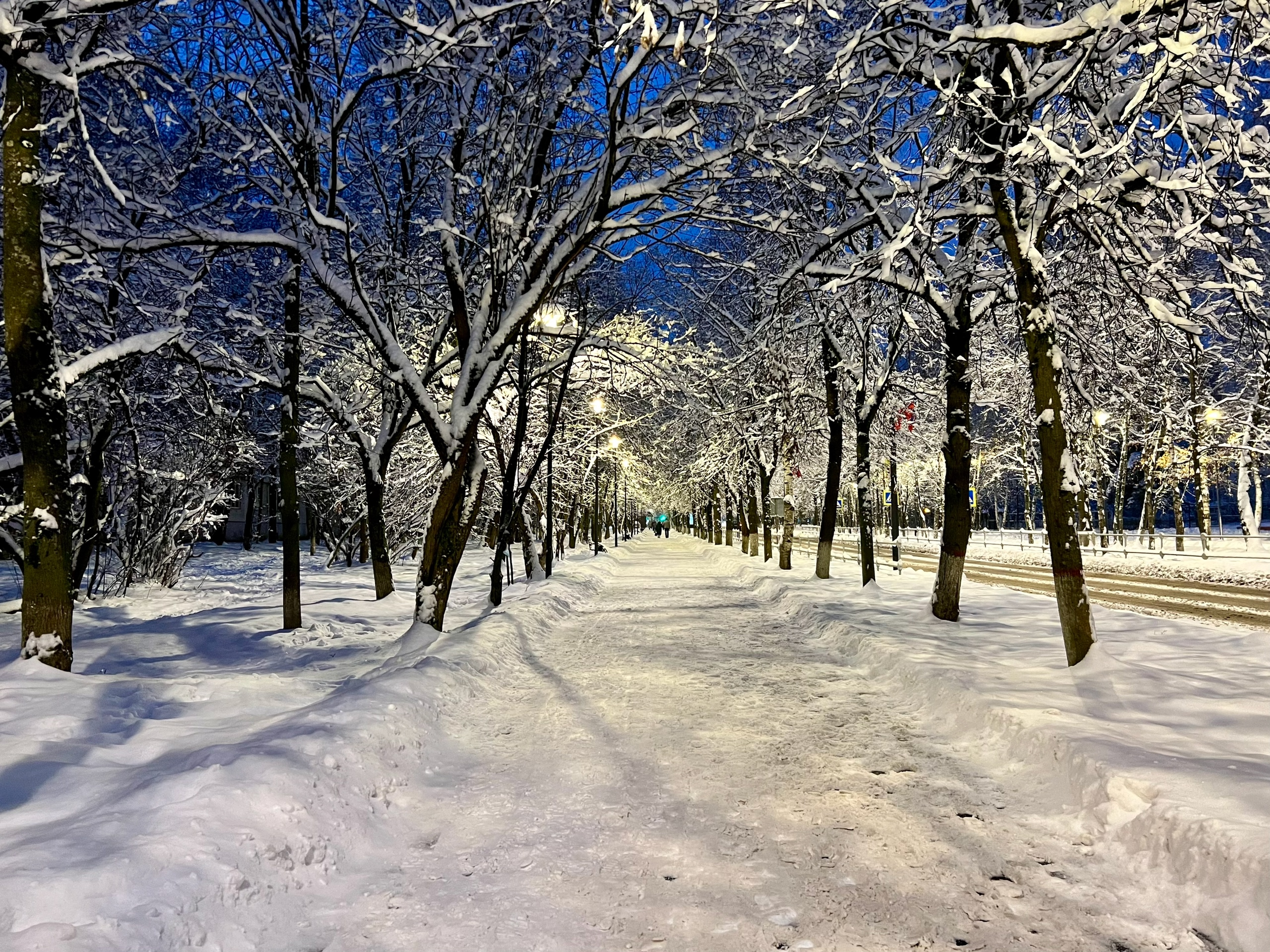 ???? Лиса Лихачева — Краснознаменск