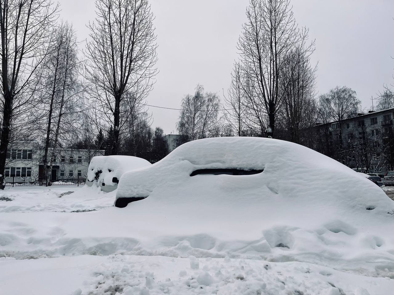 Подснежники — Краснознаменск
