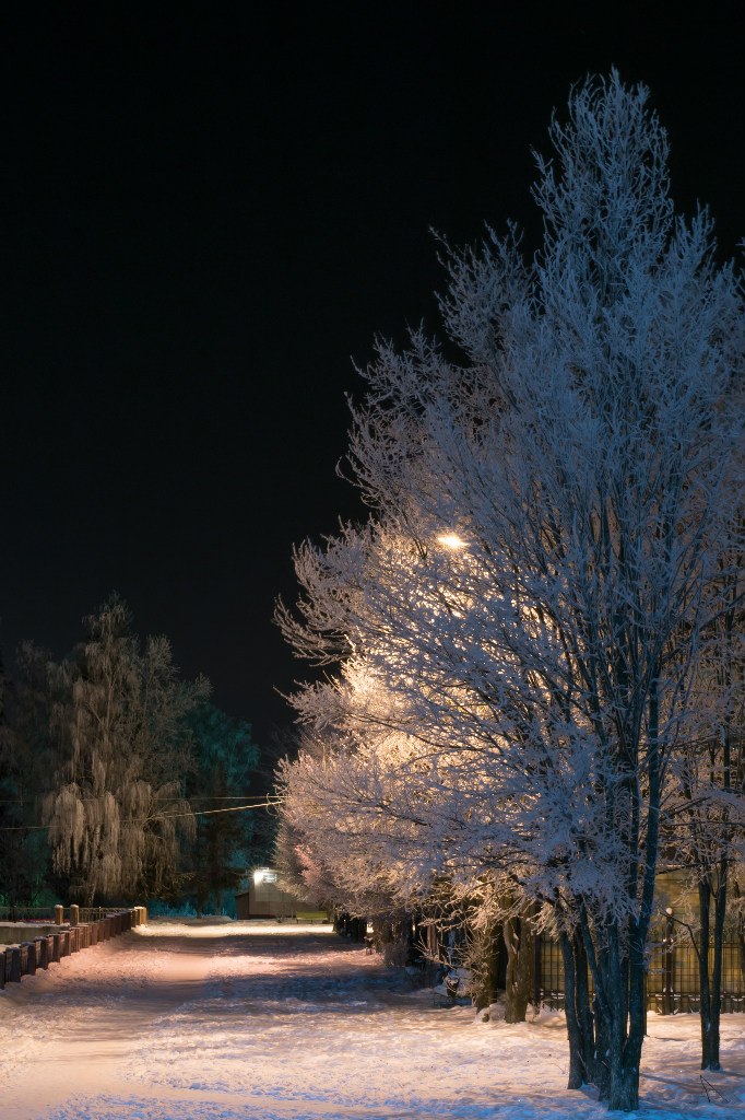 VK -27992616_57905
