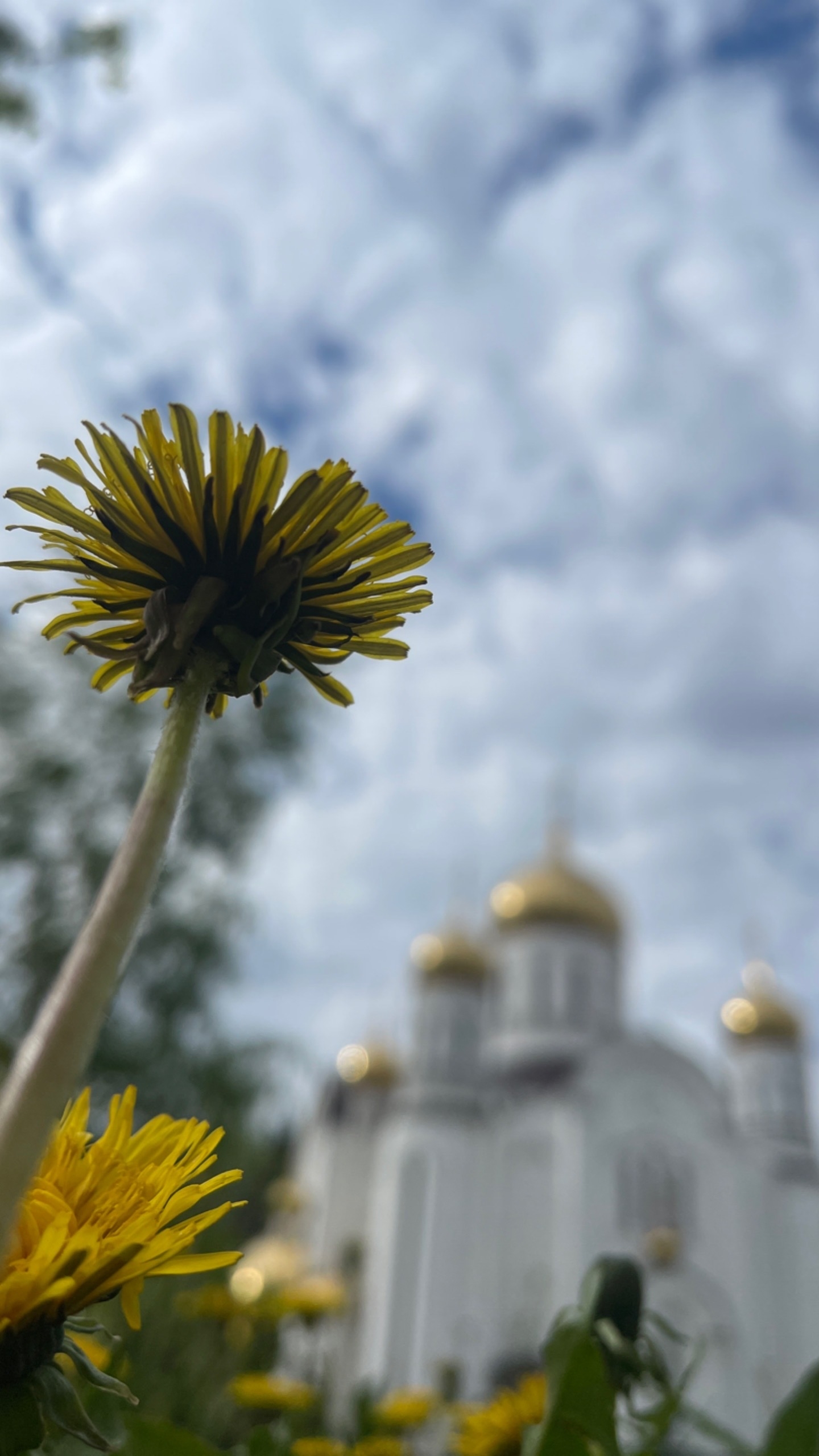 VK -27992616_770028