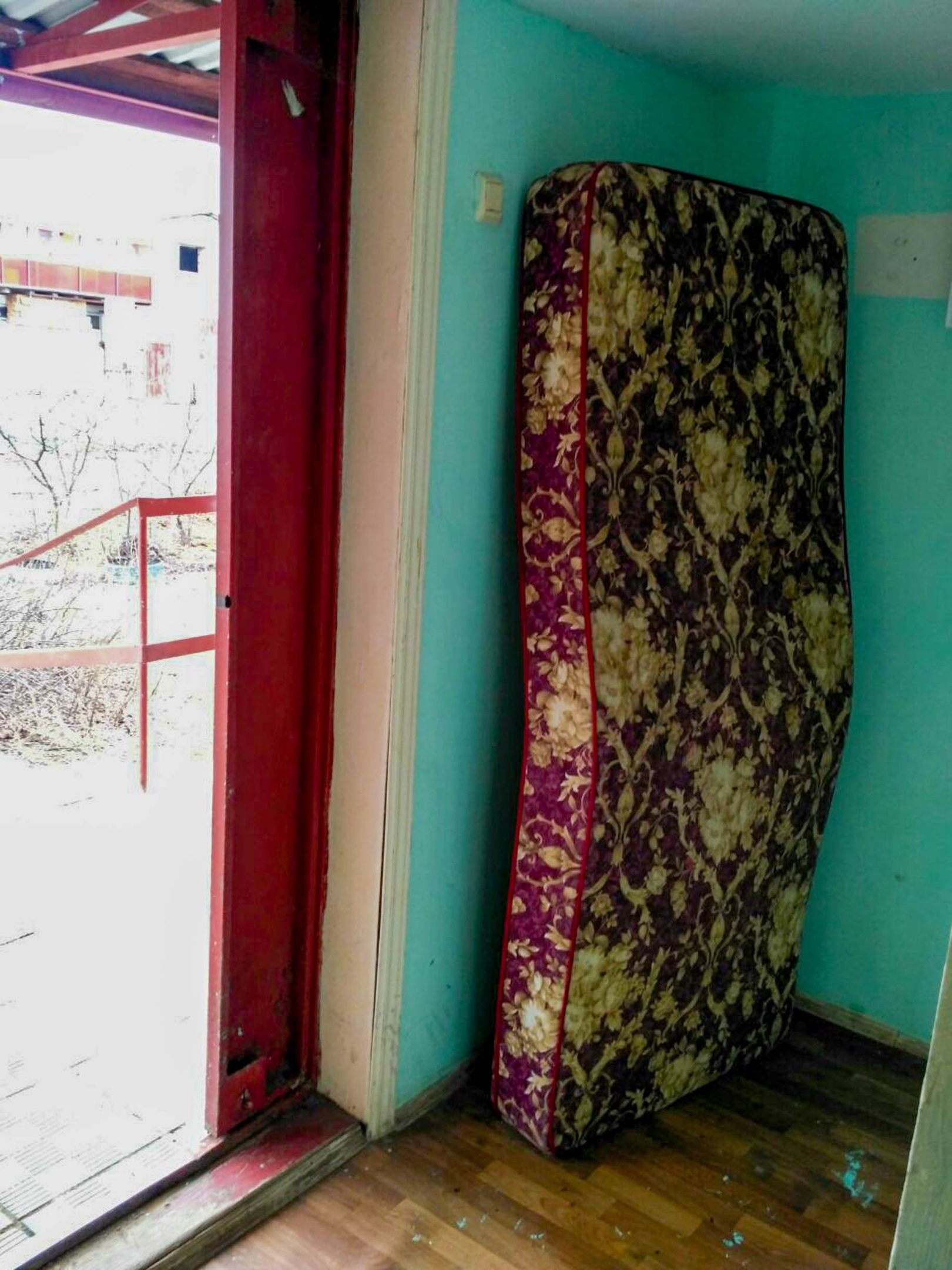 В такую погоду на газоне не полежишь... Старый приятель пере