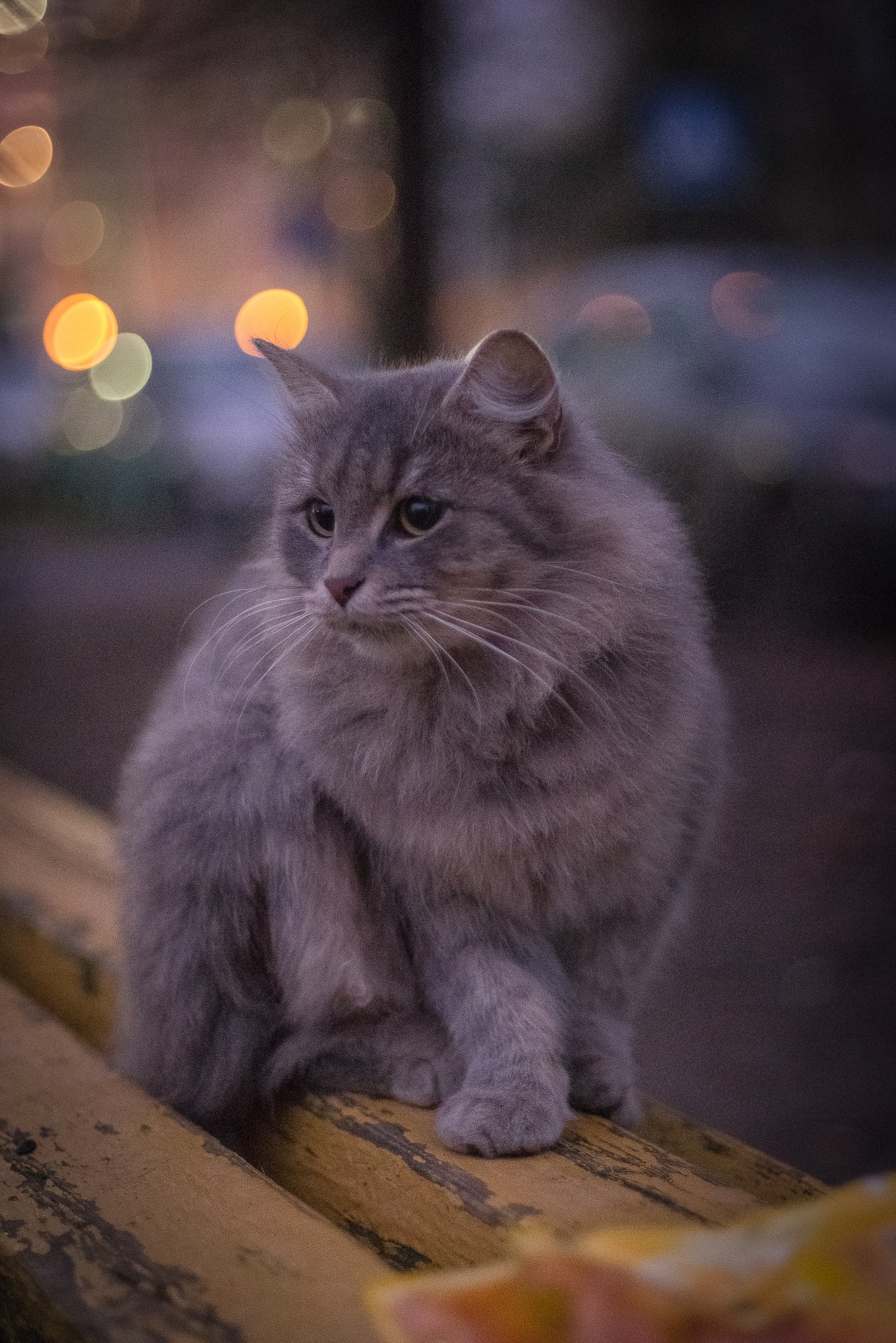 Вечереет????  ???? Марина Маринина — Краснознаменск