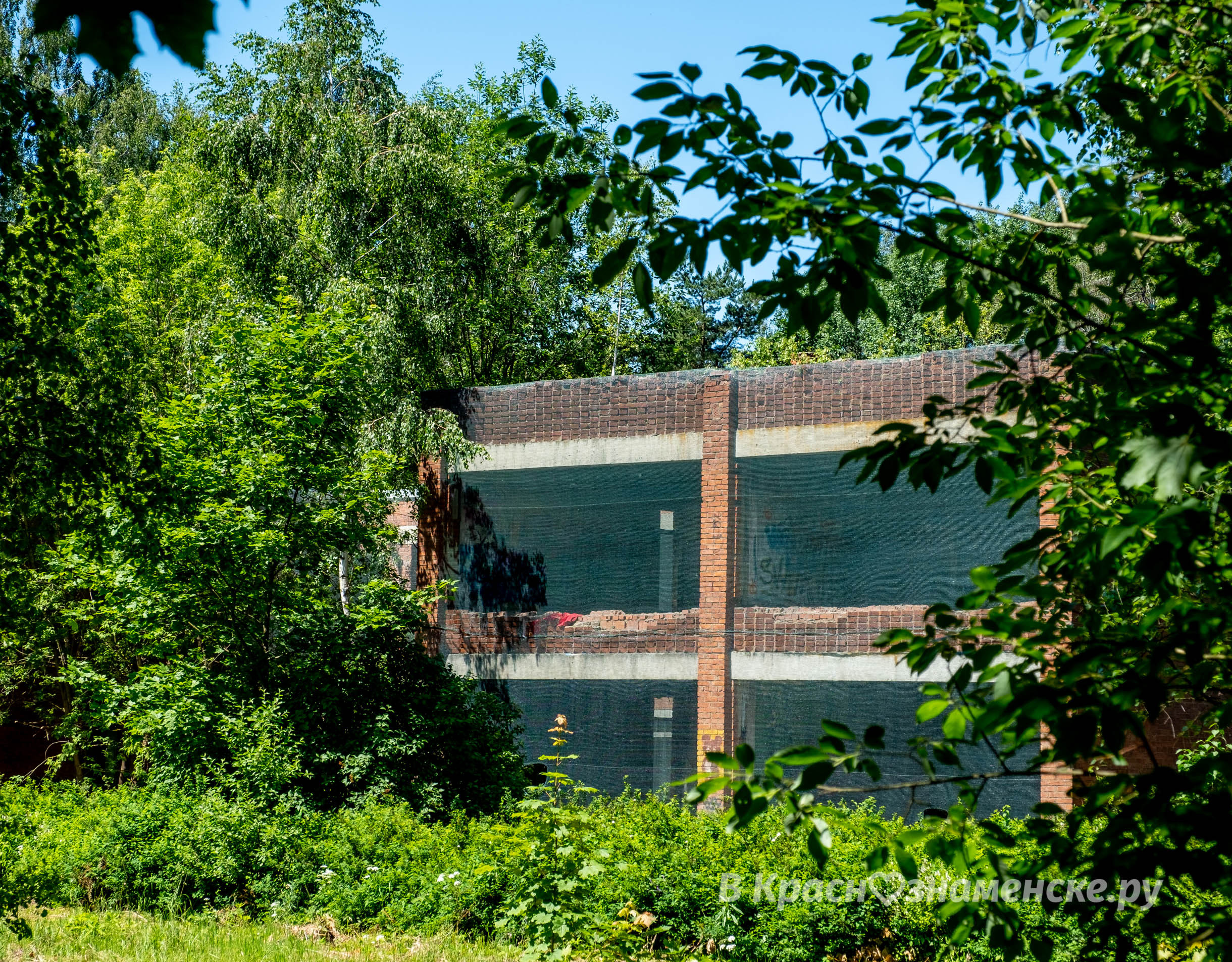 Фото 7592 — Краснознаменск