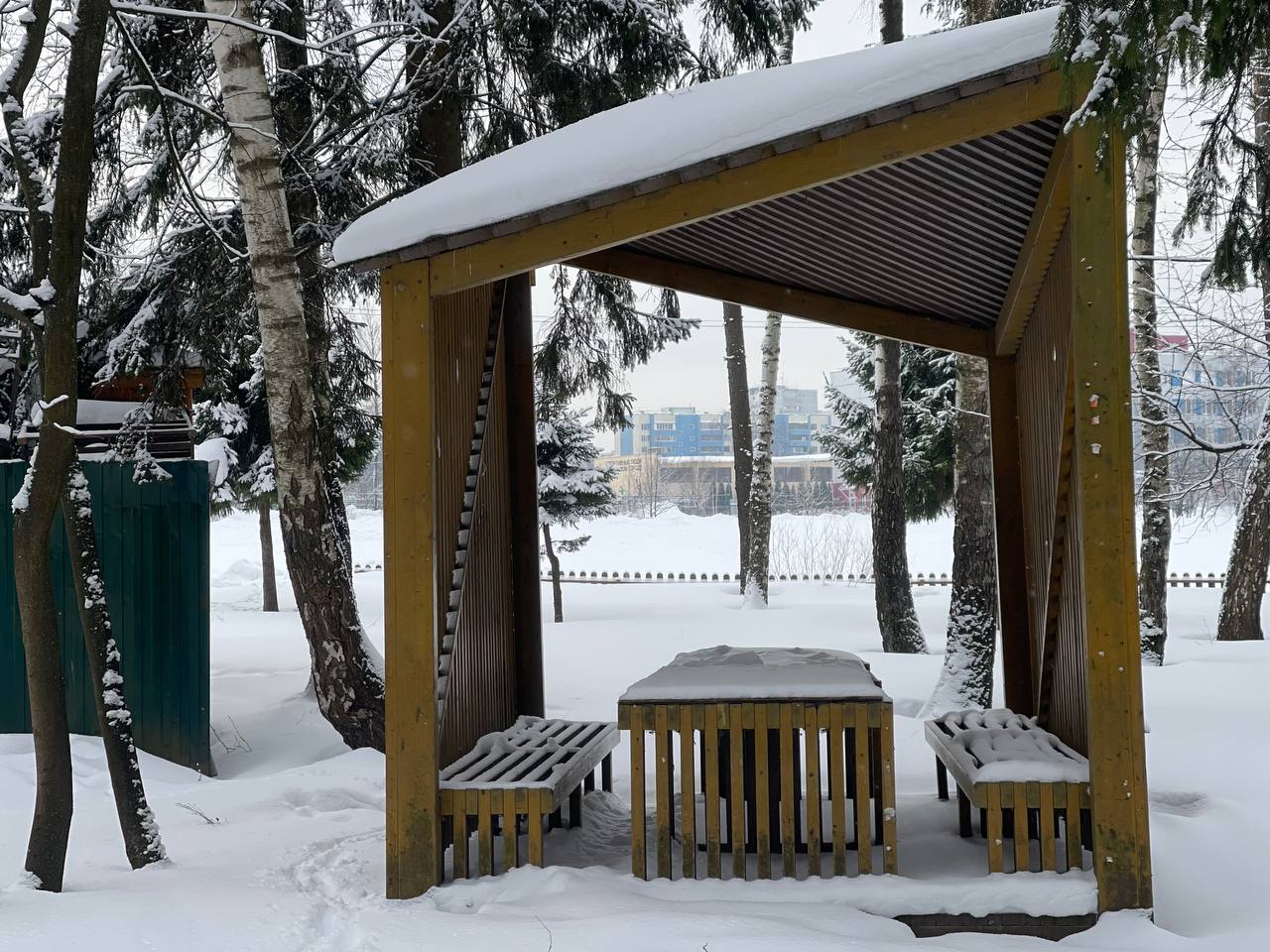 Прогулка по городскому парку — Краснознаменск