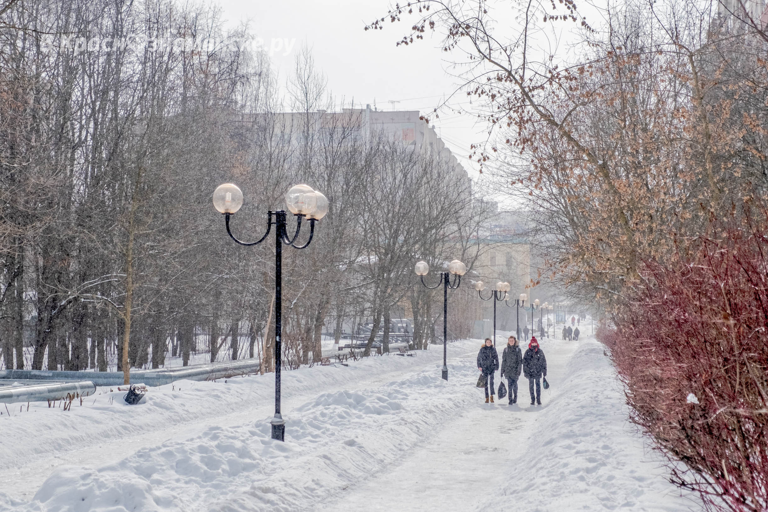 Доброе утро, Краснознаменск! Утром -23°… -17°, Ясно, Давлени