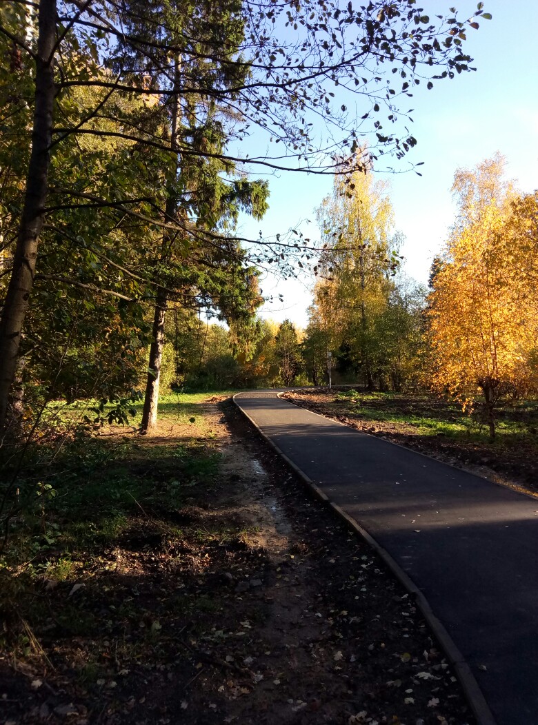 Дорожки парка у озера — Краснознаменск