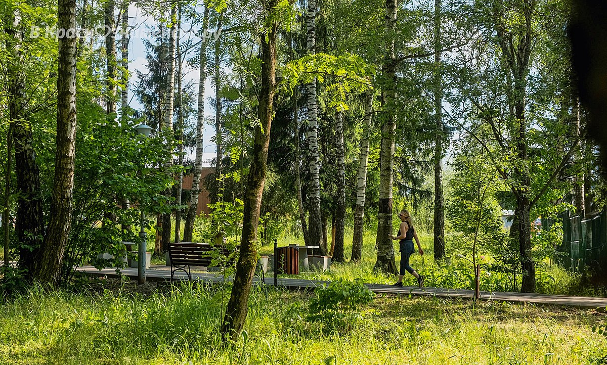 Лето в Краснознаменске