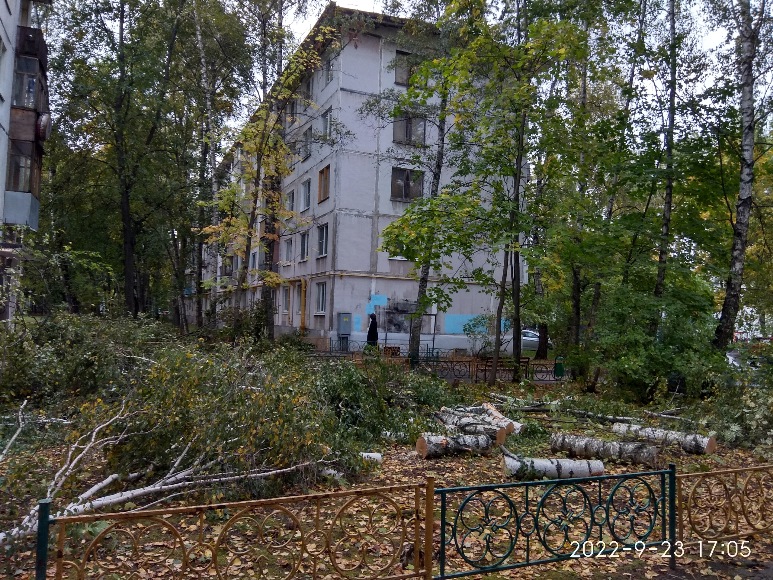 Фото 35323 — Краснознаменск
