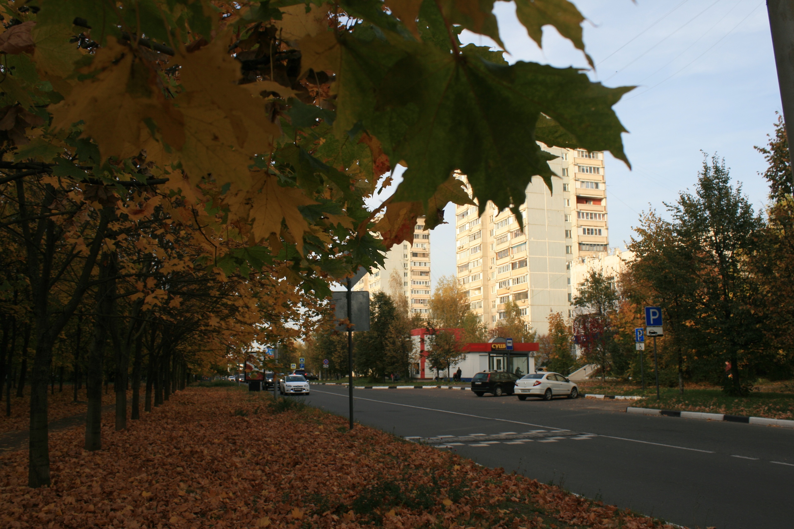 Осенний Краснознаменск. ???? Наталья Меняйлова