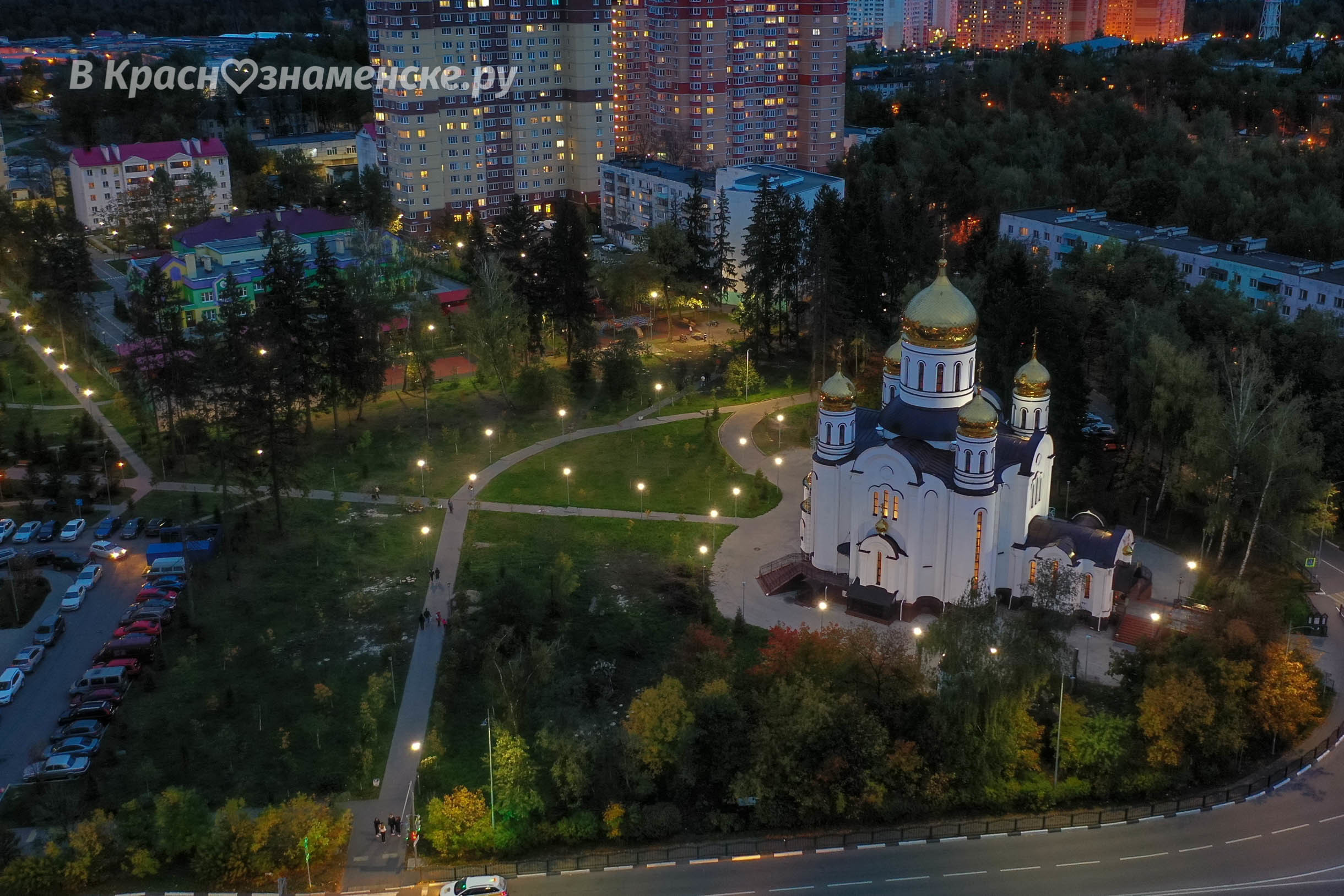 Лампочки, как души «срубленных деревьев»
