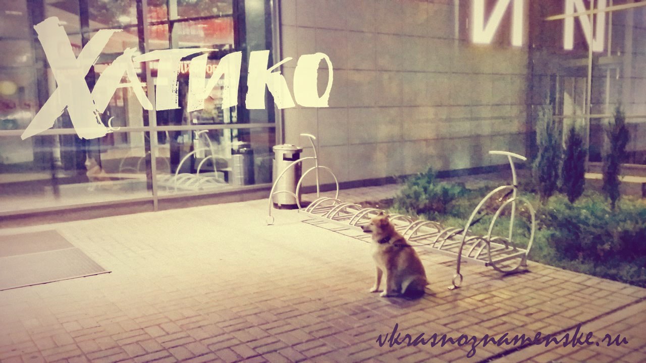 VK -27992616_35122