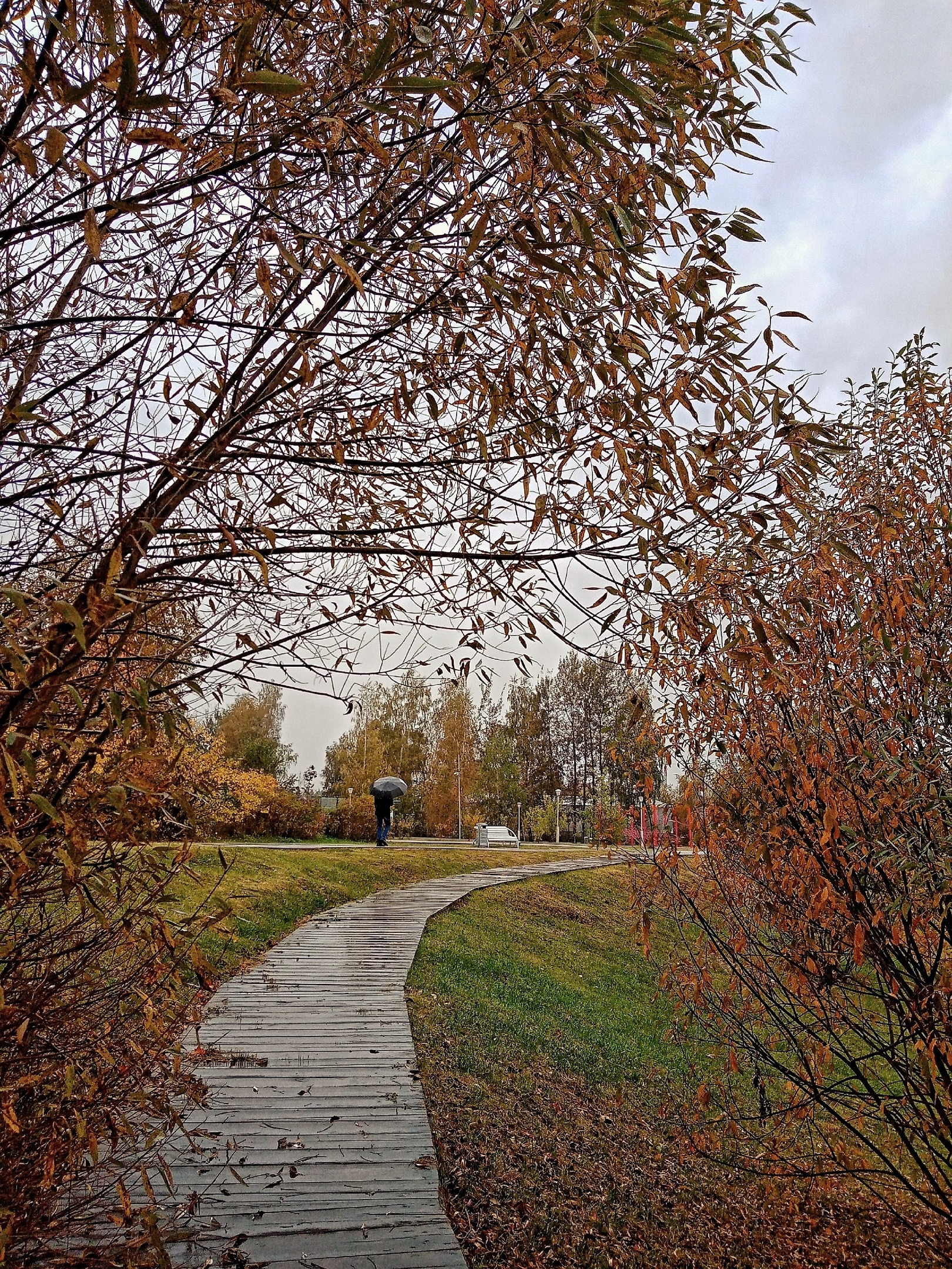 Фото 45954 — Краснознаменск