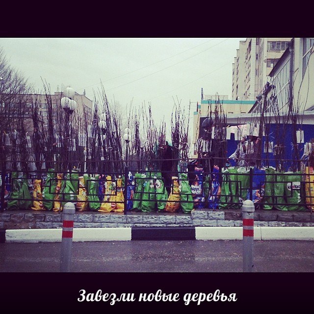 Автор фотографии sergeyeshka