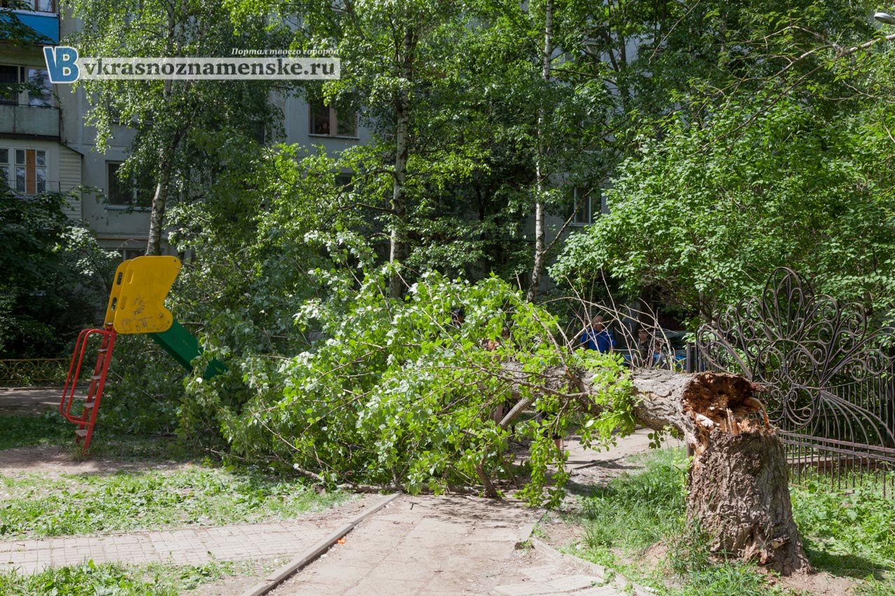 Быстрое меню — Краснознаменск