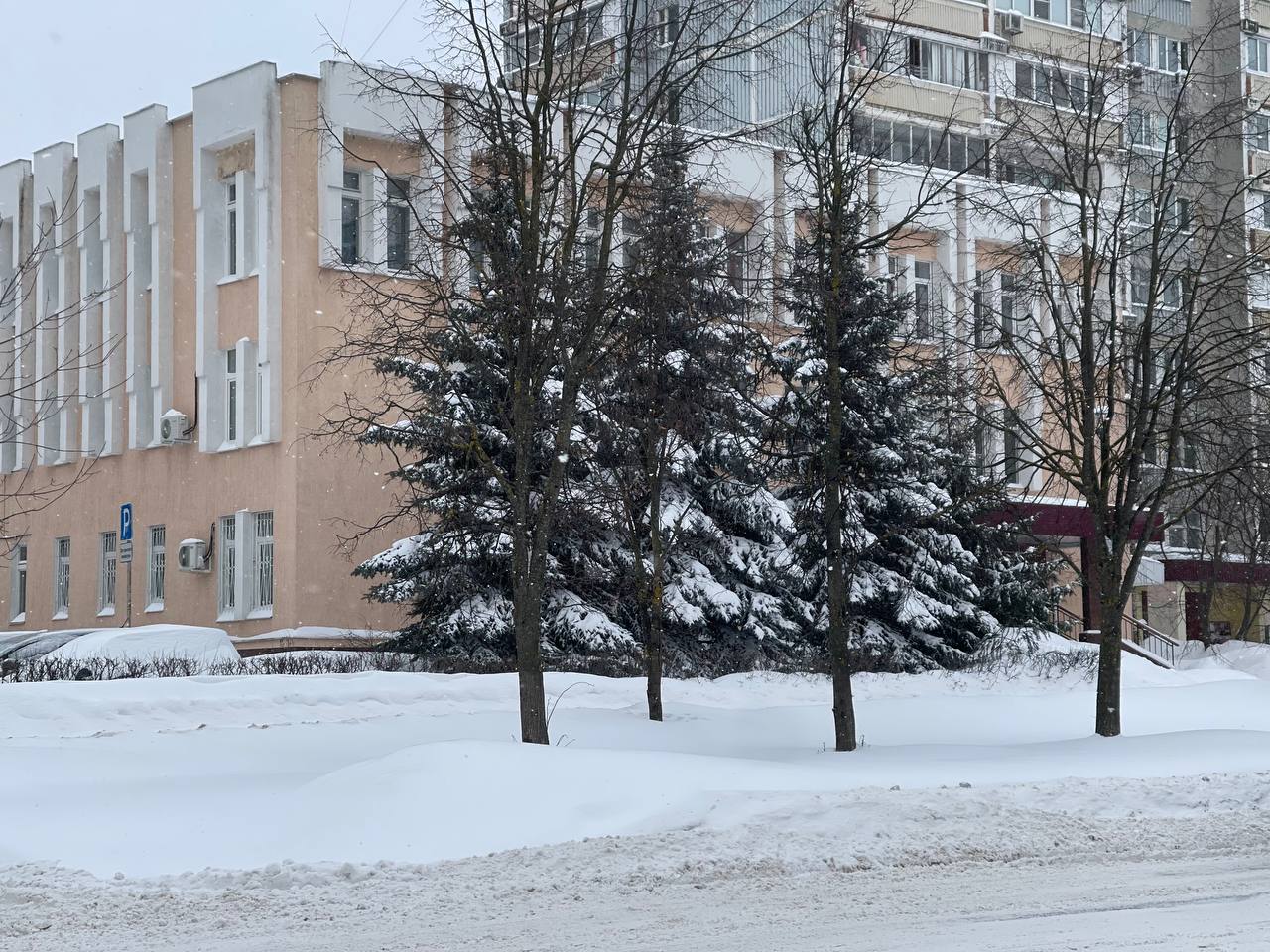 Прогулка по городу. — Краснознаменск