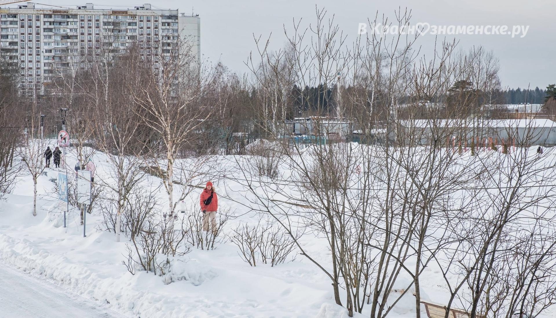 Доброе утро, Краснознаменск! Прекрасного дня и хорошего наст