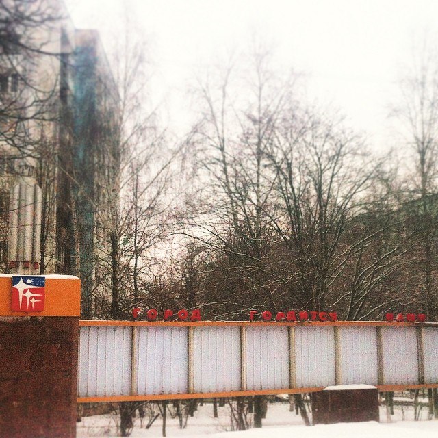 Автор фтографии snse