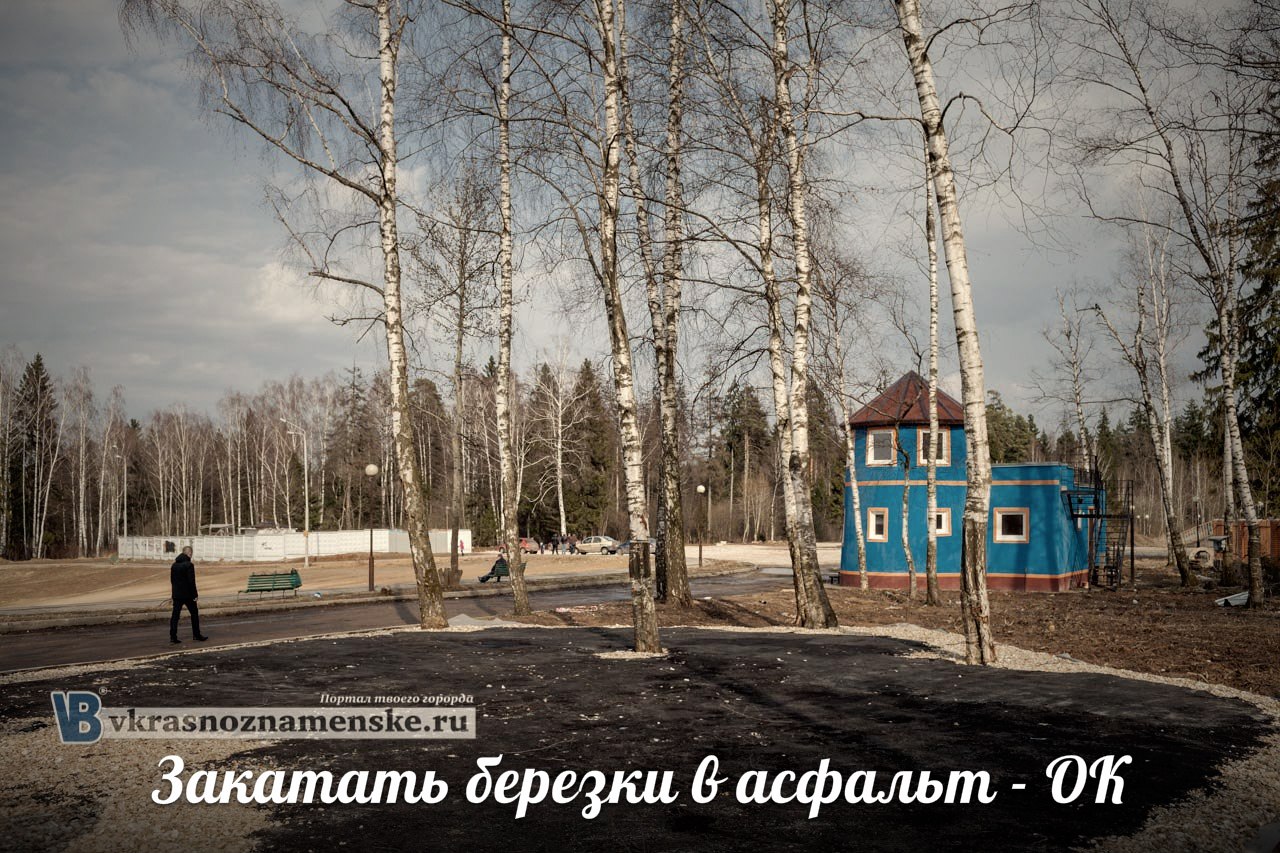 VK -27992616_16465