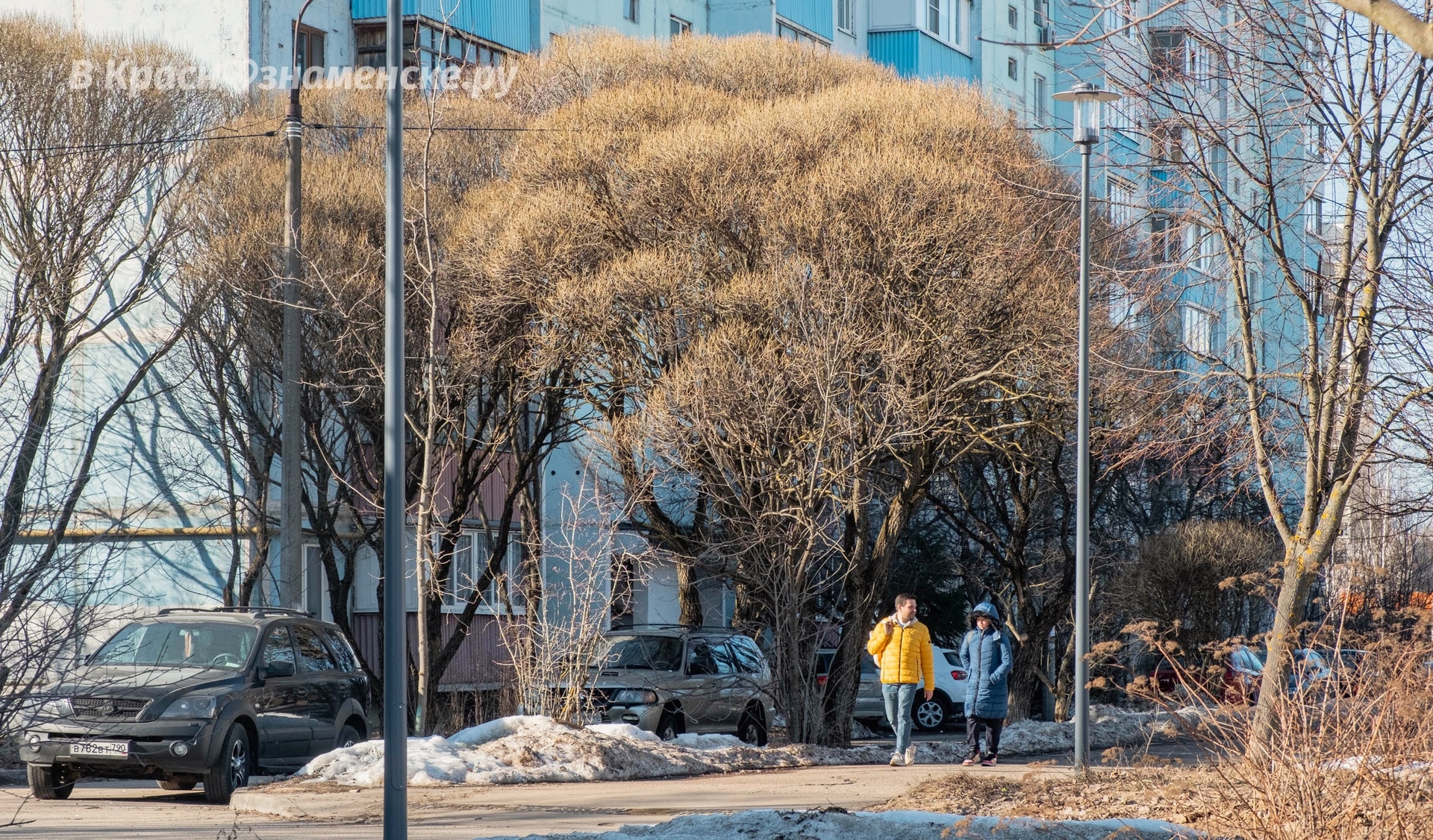 Прогулка по городу — Краснознаменск
