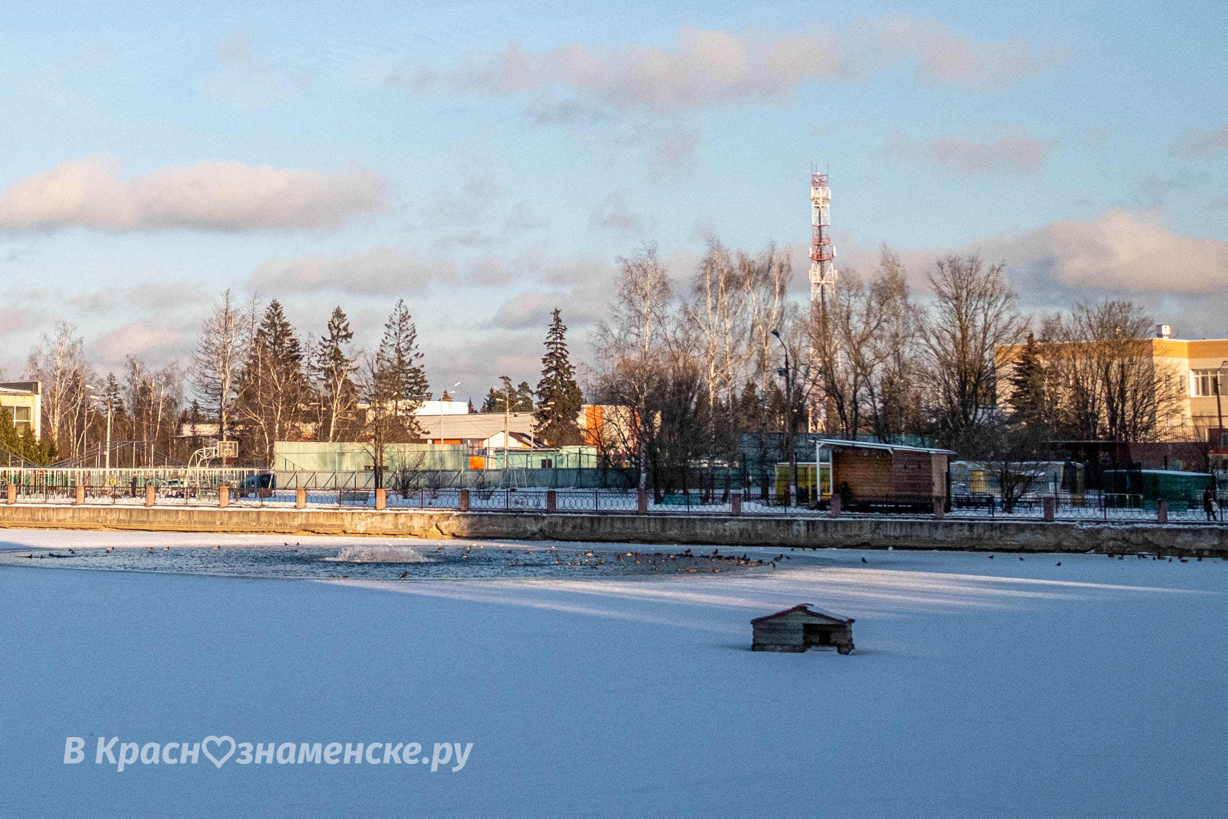 Фото 8283 — Краснознаменск