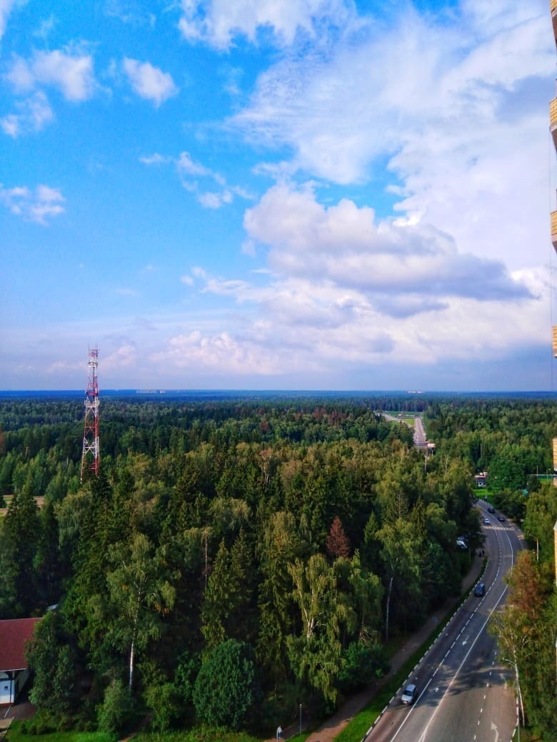 Какая красота ????????????????????????  фото: Оксана Васина — Краснознаменск