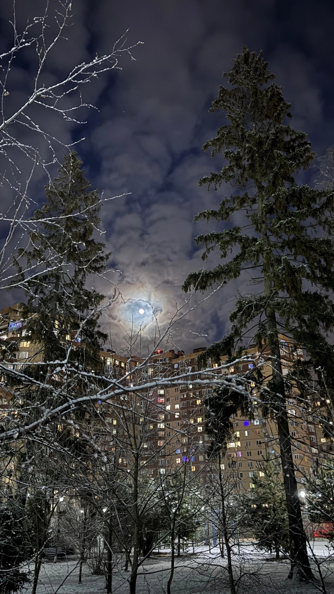 Луна над Краснознаменском  ❄️12 января.  ???? Марушкин Олег