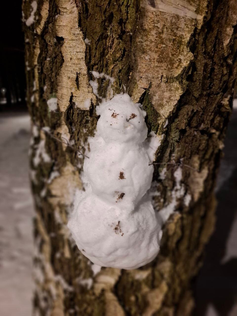 Вот такая милота на деревьях в беличьем парке☺️