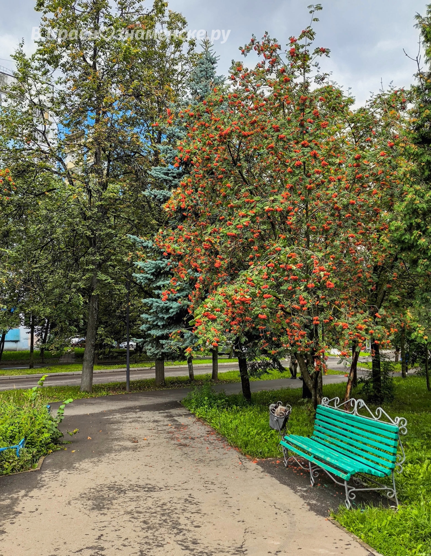 Фото 40670 — Краснознаменск