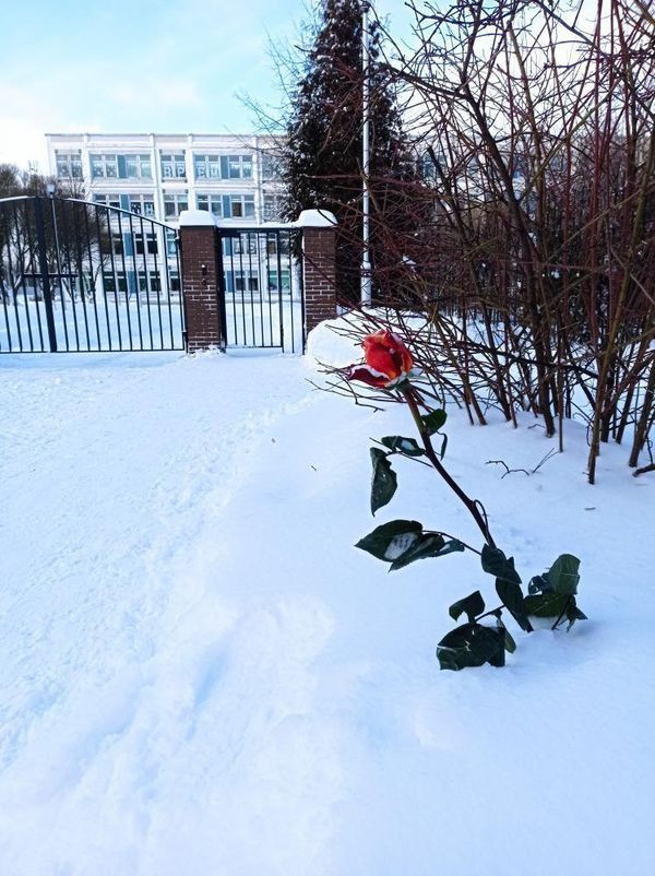 Придумайте название фото Вариант автора: Не пришла((