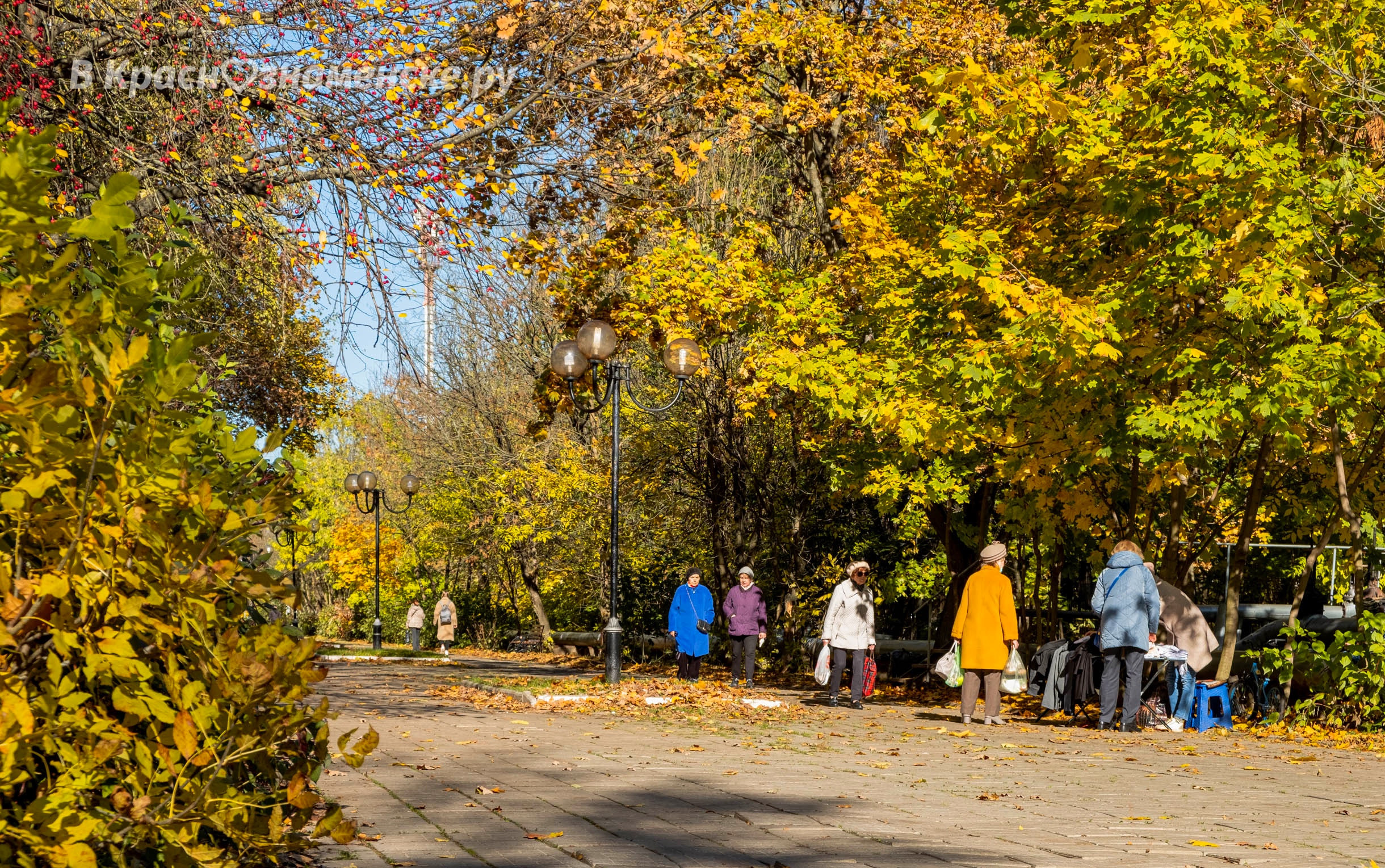 Фото 42387 — Краснознаменск