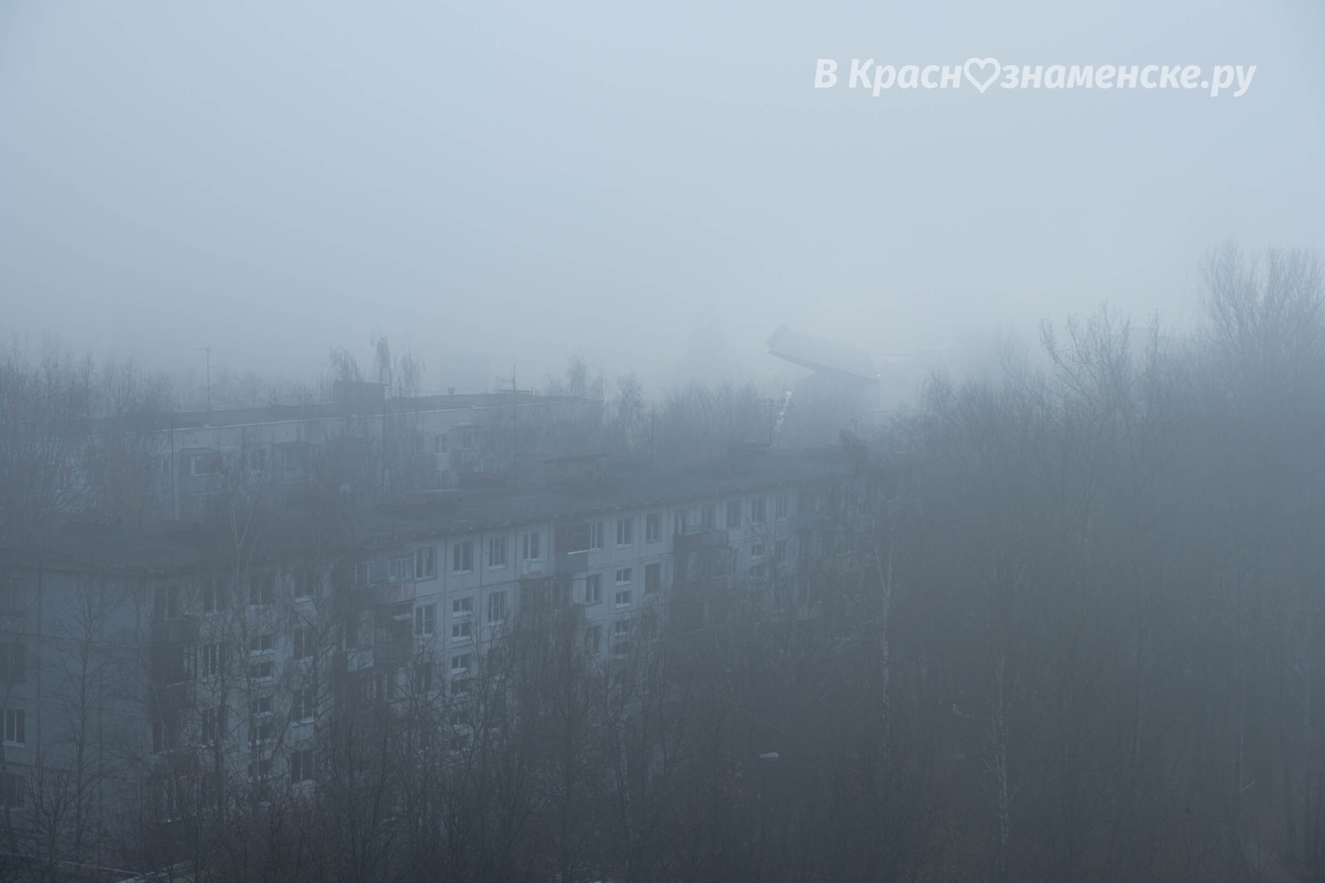 Фото 46182 — Краснознаменск