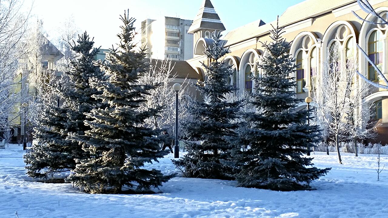 Зимний город — Краснознаменск